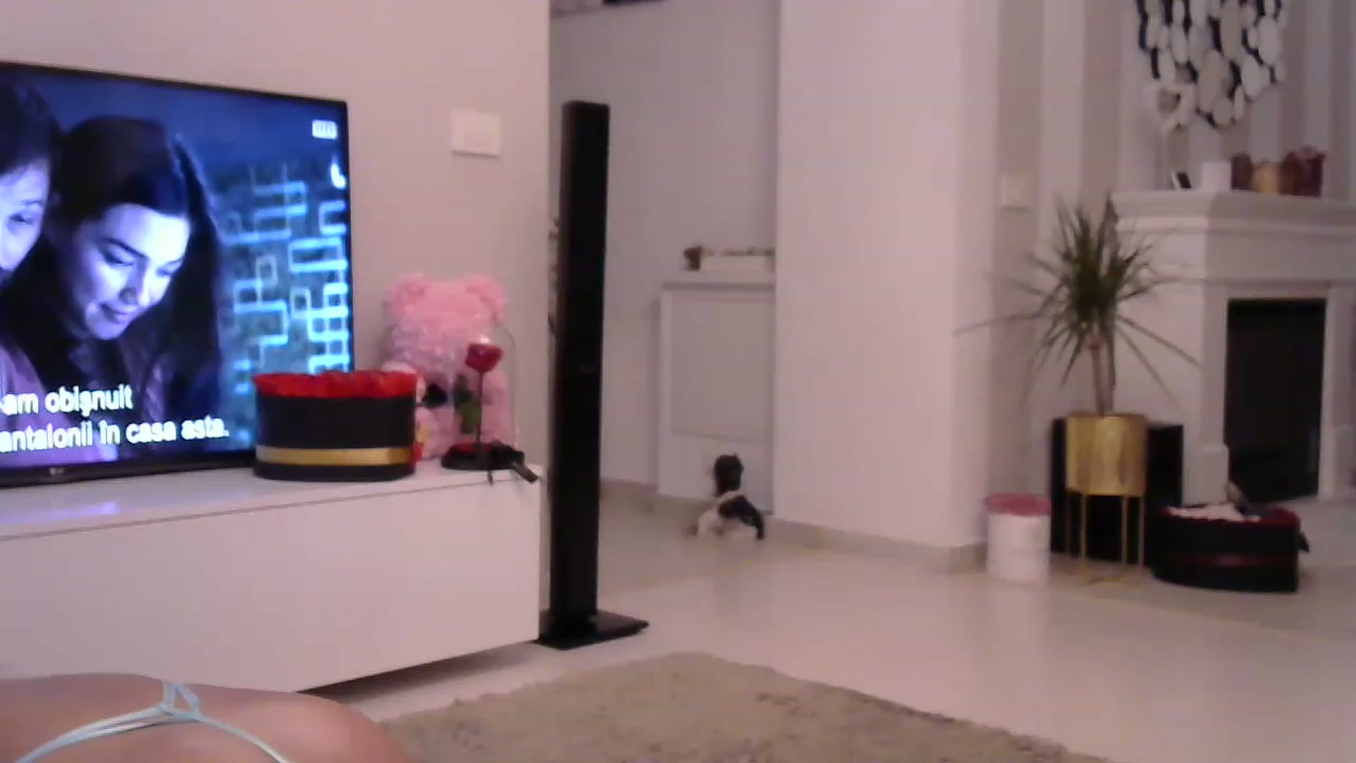 Gallery image thumbnail from Missy_alena's myfreecams stream on, 04/22/2023, 22:12 image 1 of 20