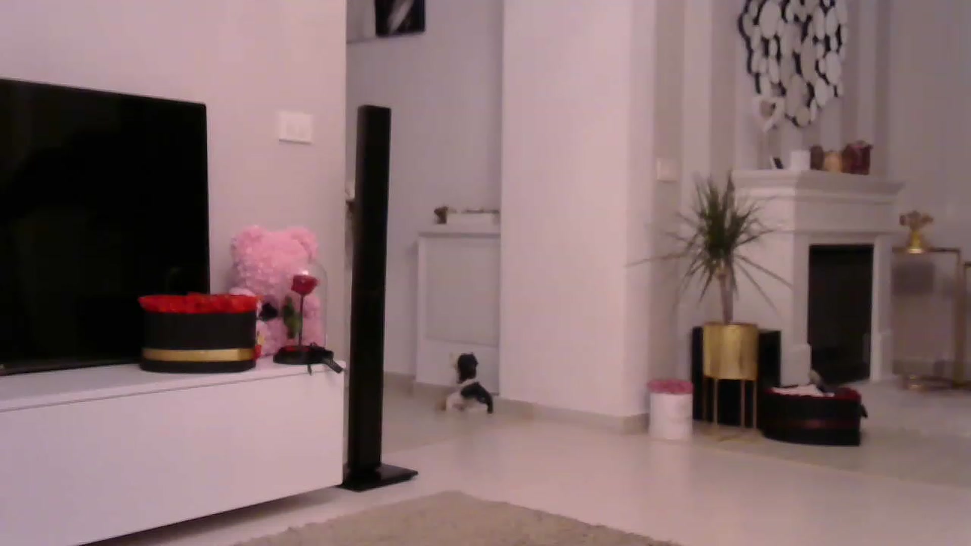 Gallery image thumbnail from Missy_alena's myfreecams stream on, 04/24/2023, 01:58 image 7 of 20