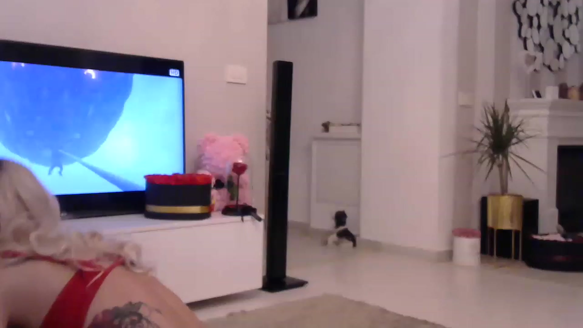 Gallery image thumbnail from Missy_alena's myfreecams stream on, 04/24/2023, 23:23 image 2 of 20