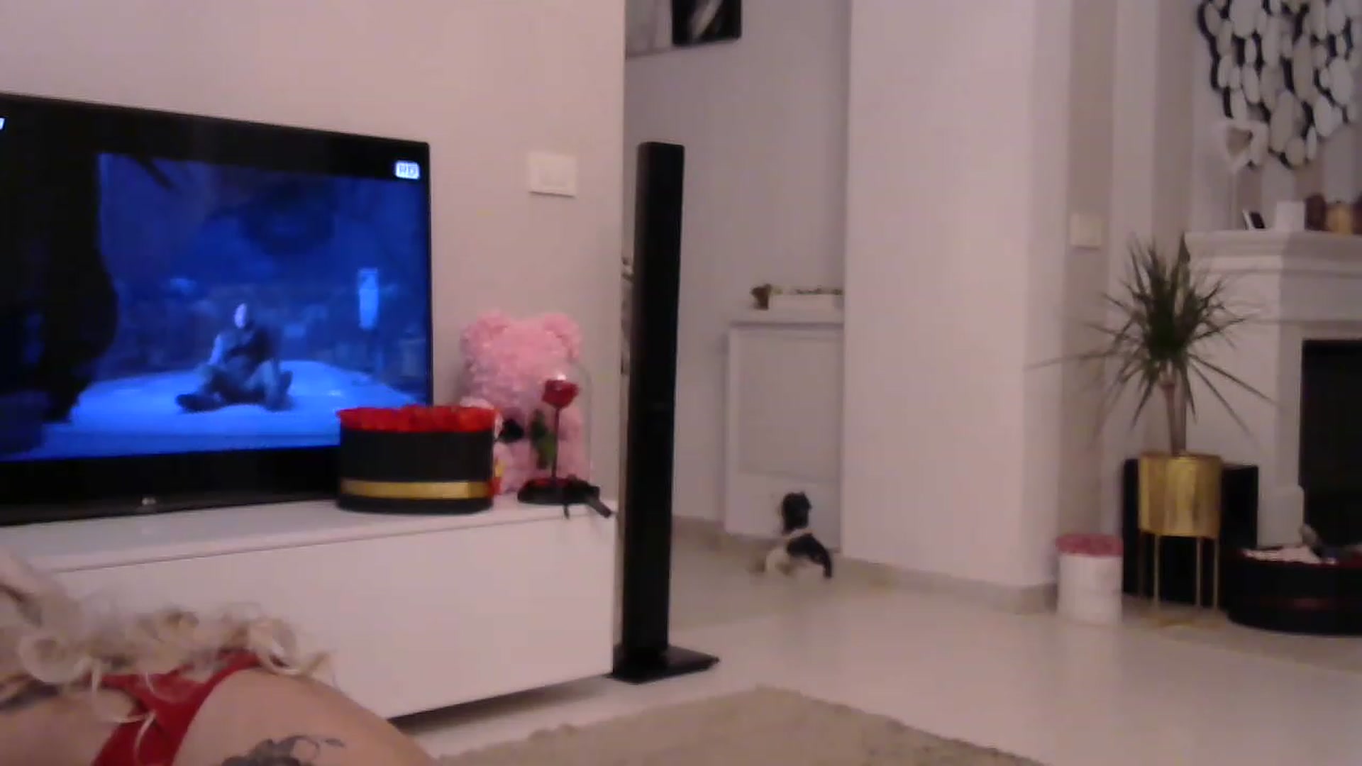 Gallery image thumbnail from Missy_alena's myfreecams stream on, 04/24/2023, 23:23 image 3 of 20