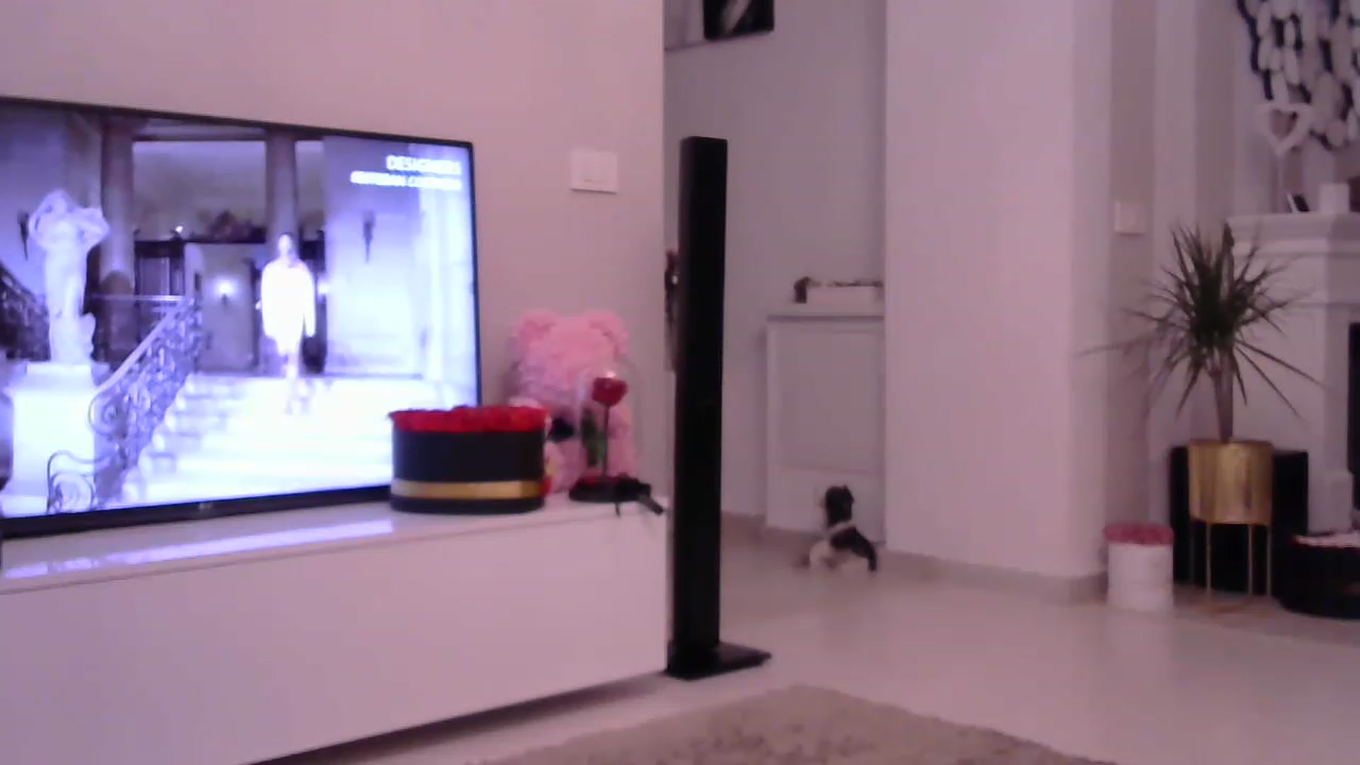 Gallery image thumbnail from Missy_alena's myfreecams stream on, 05/04/2023, 20:31 image 16 of 20