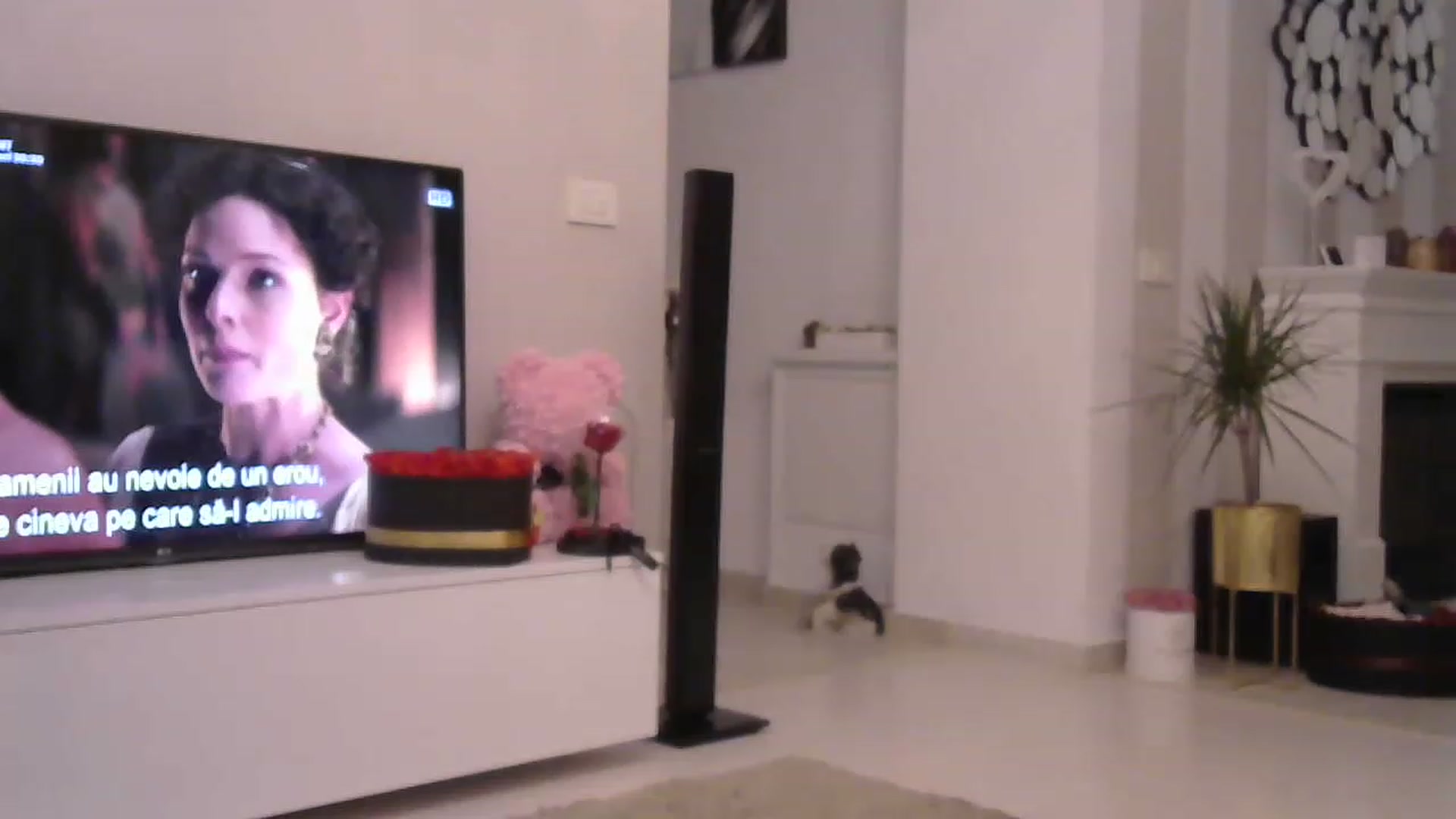 Gallery image thumbnail from Missy_alena's myfreecams stream on, 05/08/2023, 22:40 image 9 of 20
