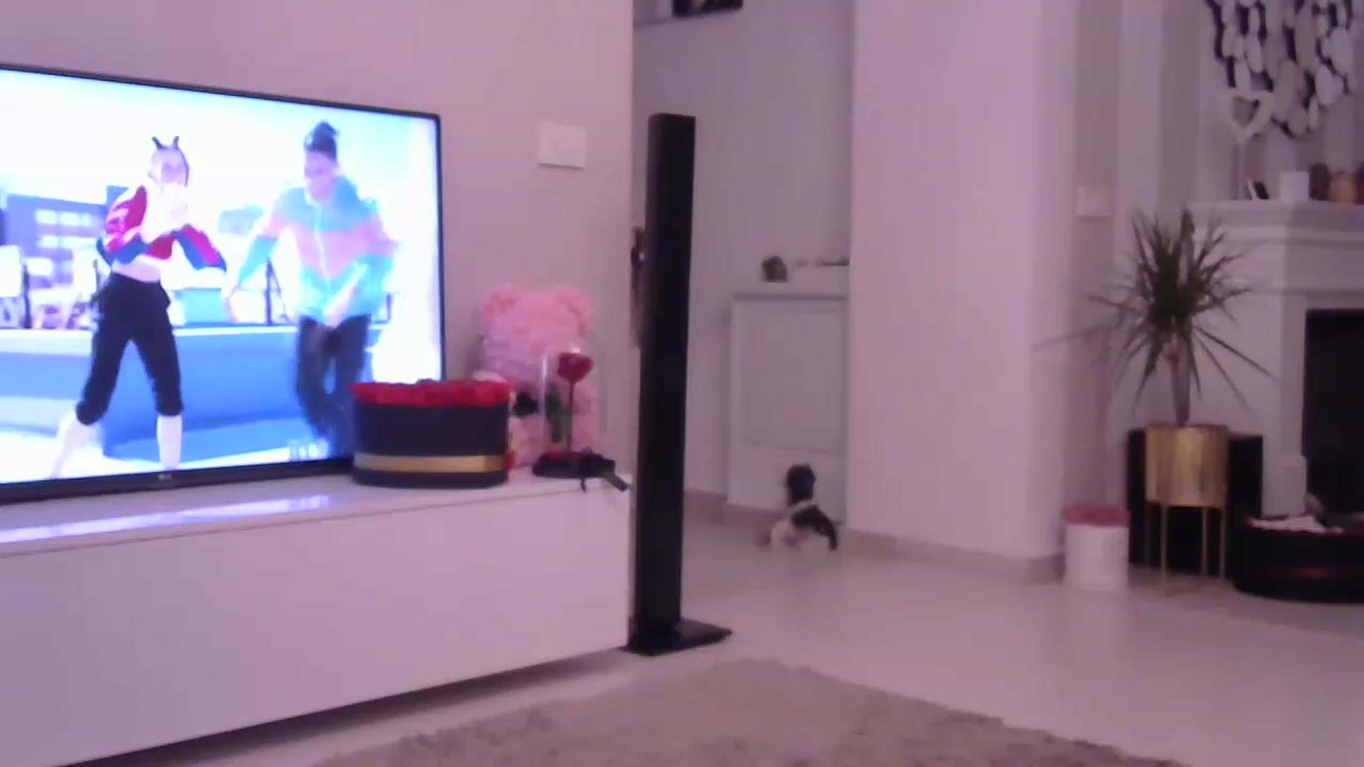 Gallery image thumbnail from Missy_alena's myfreecams stream on, 05/14/2023, 22:57 image 18 of 20