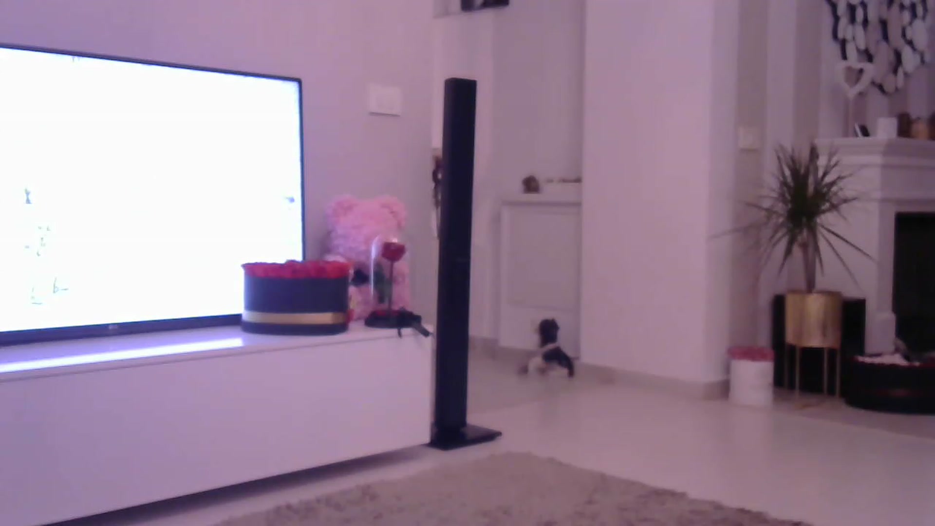 Gallery image thumbnail from Missy_alena's myfreecams stream on, 05/14/2023, 22:57 image 17 of 20