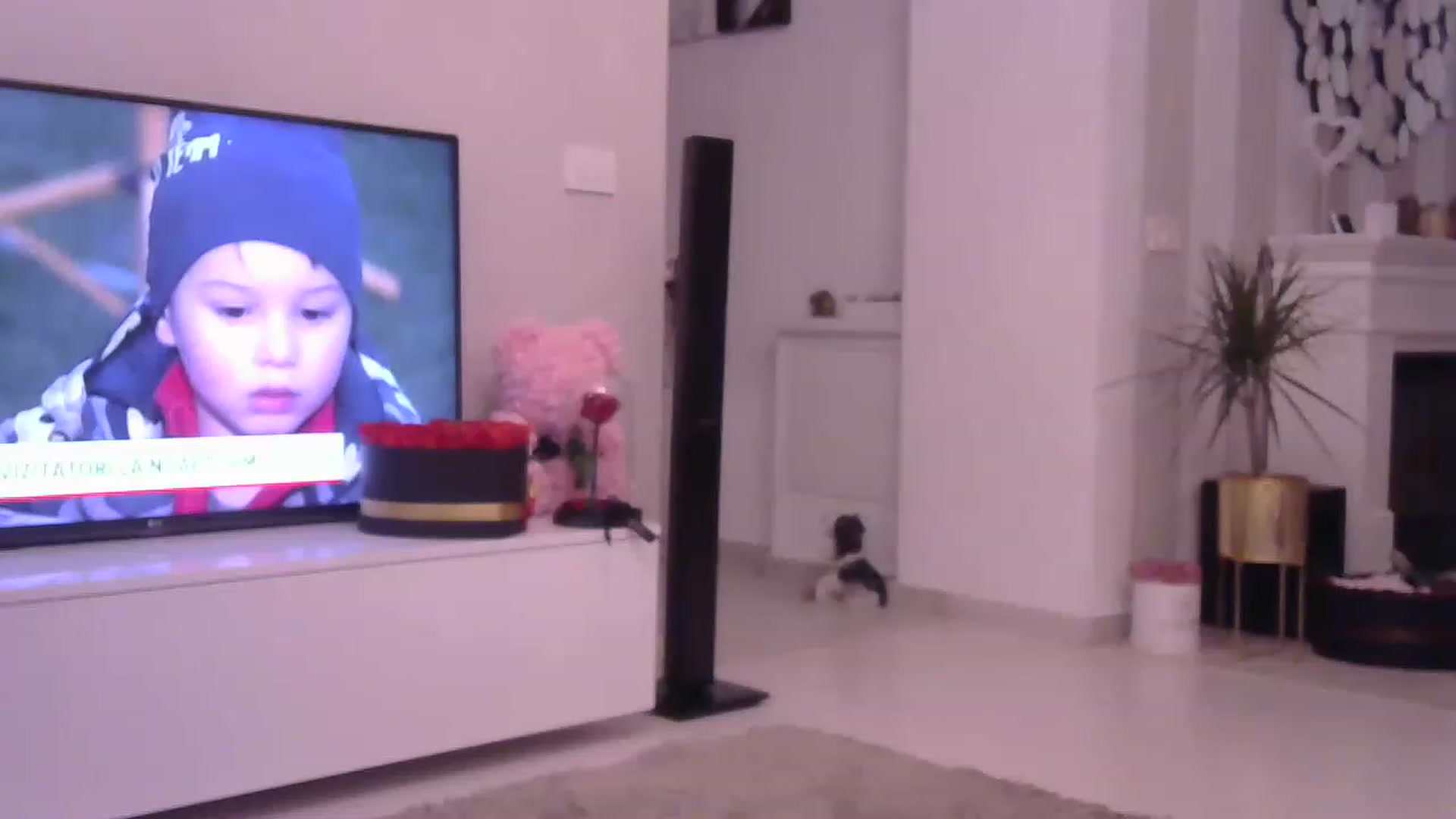 Gallery image thumbnail from Missy_alena's myfreecams stream on, 05/15/2023, 22:47 image 5 of 20