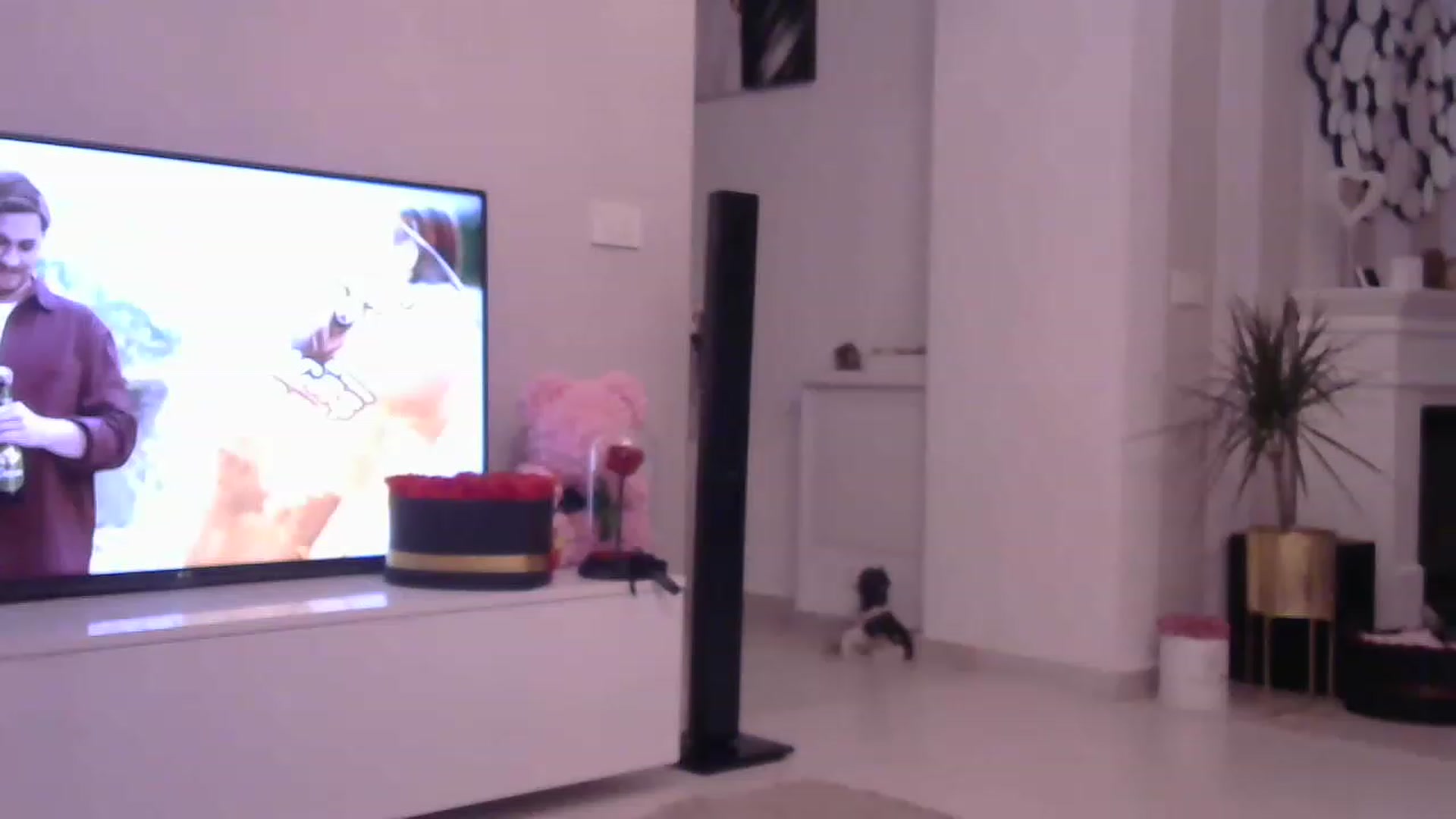Gallery image thumbnail from Missy_alena's myfreecams stream on, 05/15/2023, 22:47 image 18 of 20