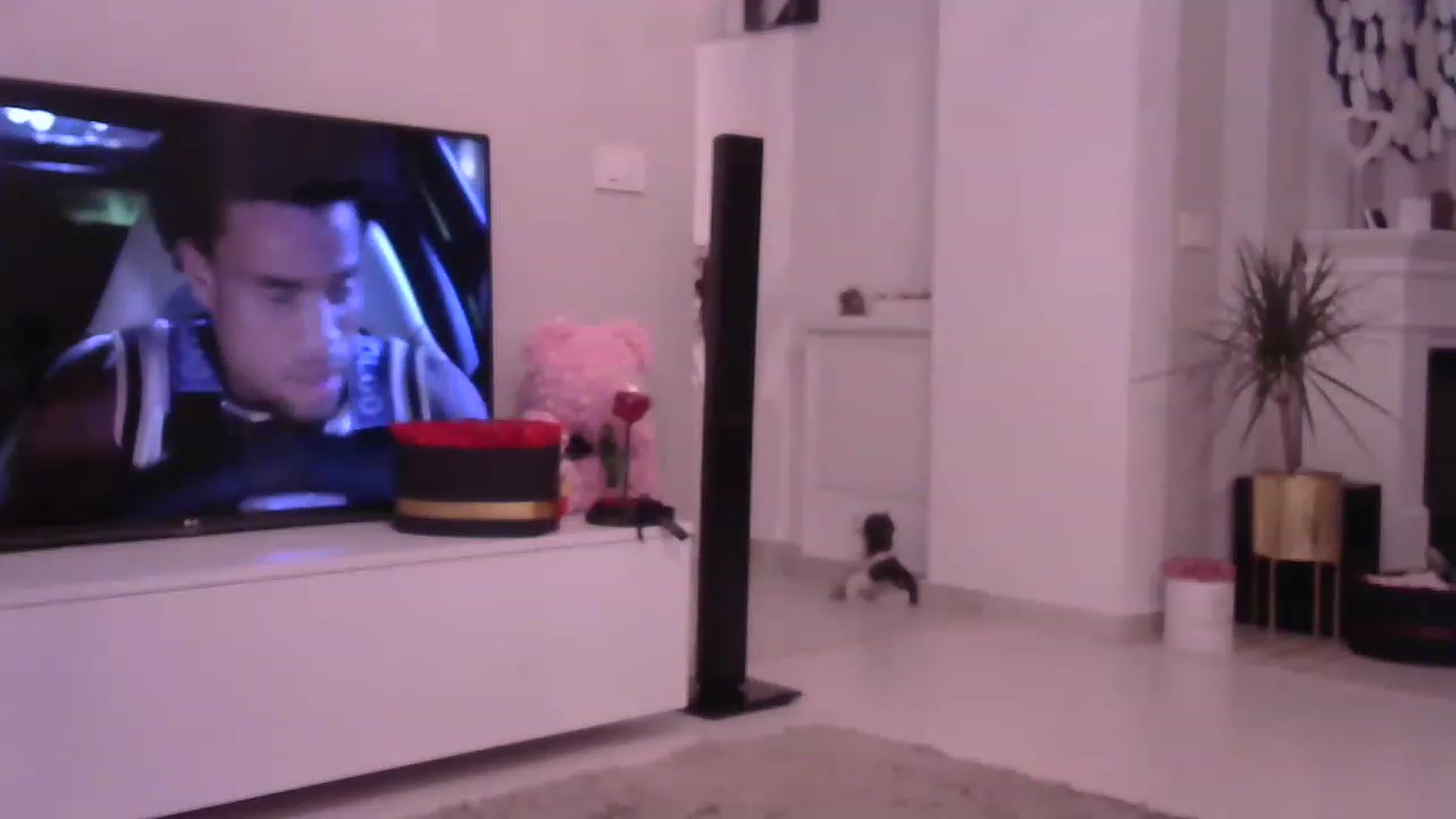 Gallery image thumbnail from Missy_alena's myfreecams stream on, 05/16/2023, 23:14 image 3 of 20