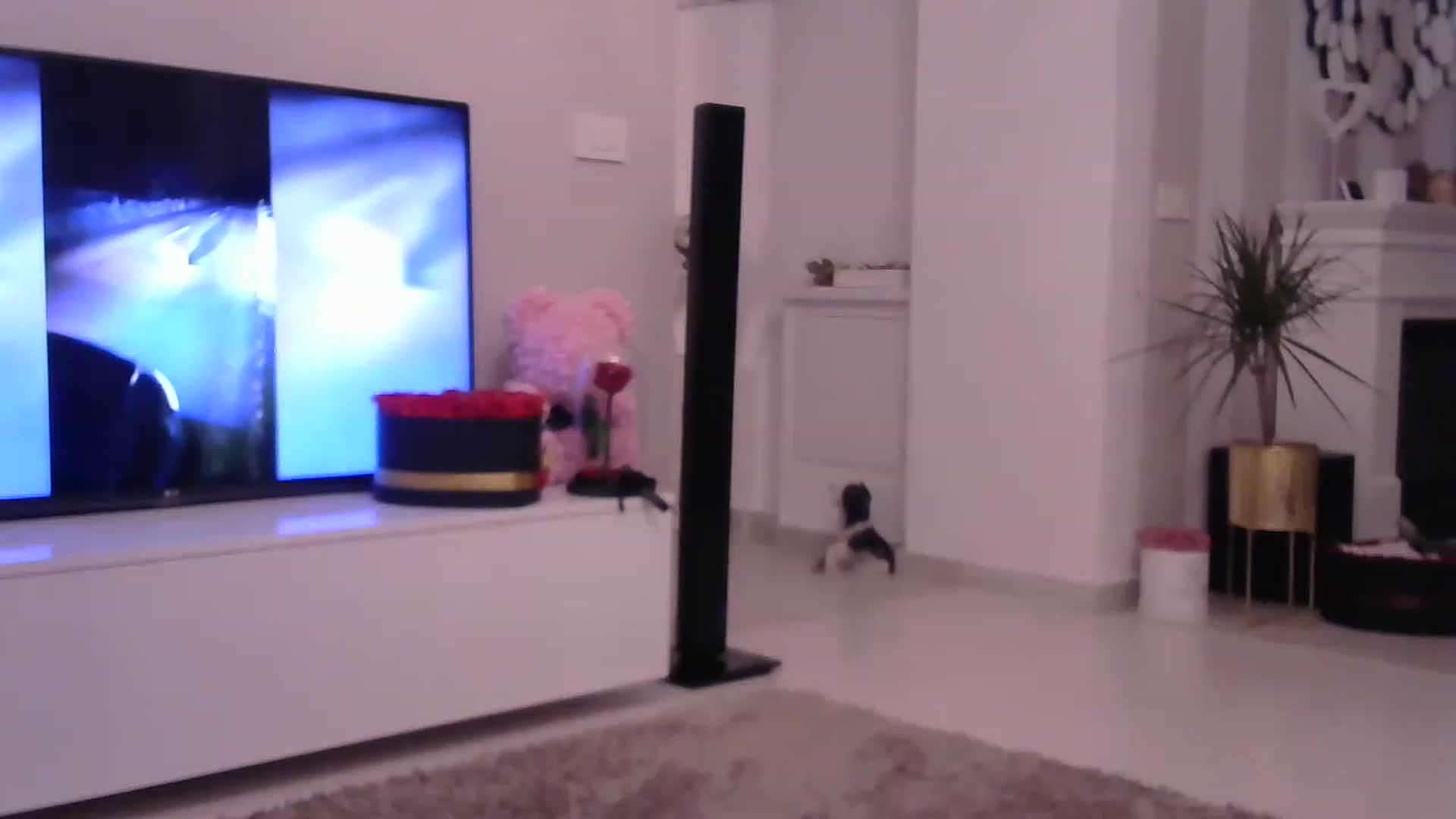 Gallery image thumbnail from Missy_alena's myfreecams stream on, 05/18/2023, 22:45 image 3 of 20