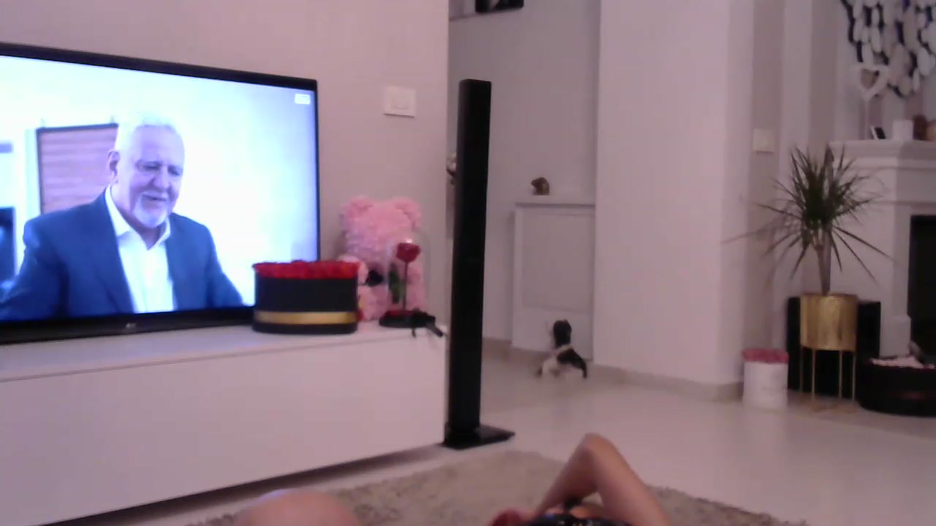 Gallery image thumbnail from Missy_alena's myfreecams stream on, 05/20/2023, 01:00 image 4 of 20