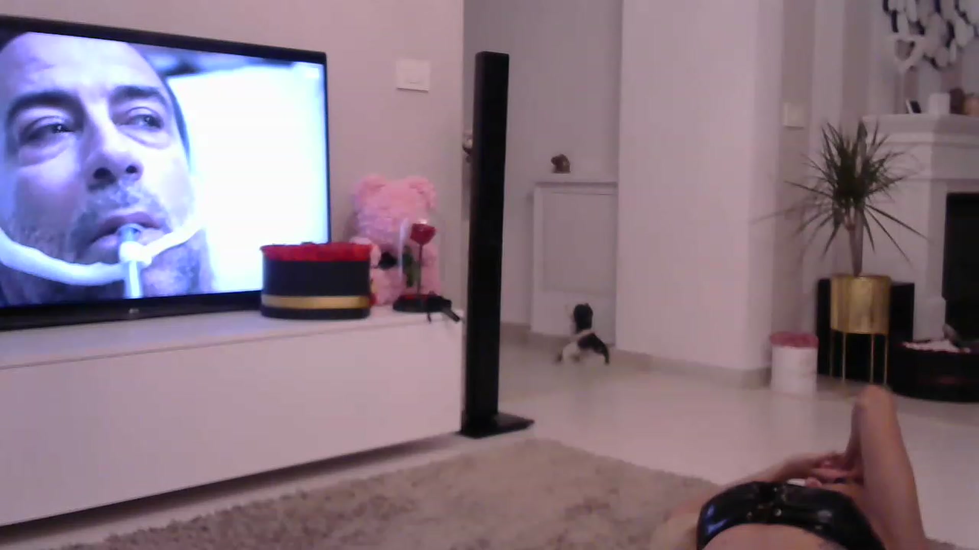 Gallery image thumbnail from Missy_alena's myfreecams stream on, 05/20/2023, 01:00 image 7 of 20