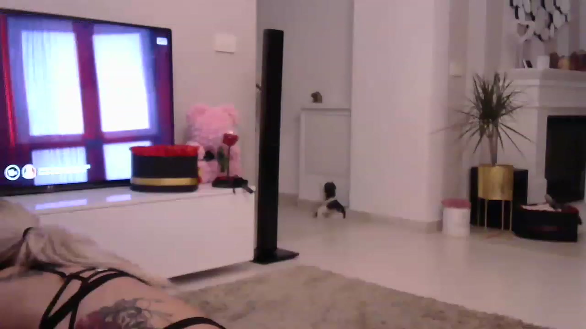 Gallery image thumbnail from Missy_alena's myfreecams stream on, 05/21/2023, 01:15 image 20 of 20