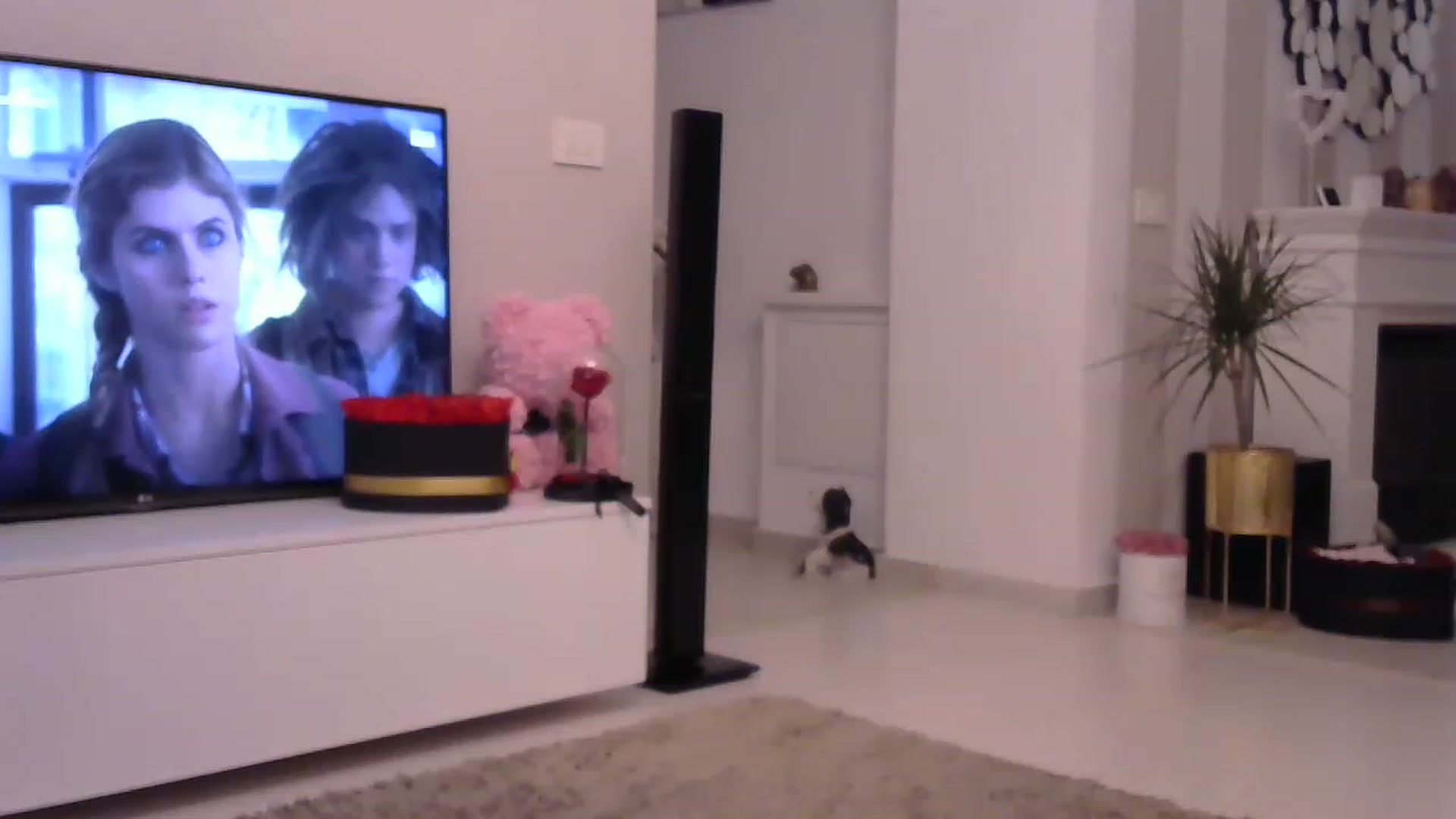 Gallery image thumbnail from Missy_alena's myfreecams stream on, 05/21/2023, 01:15 image 11 of 20
