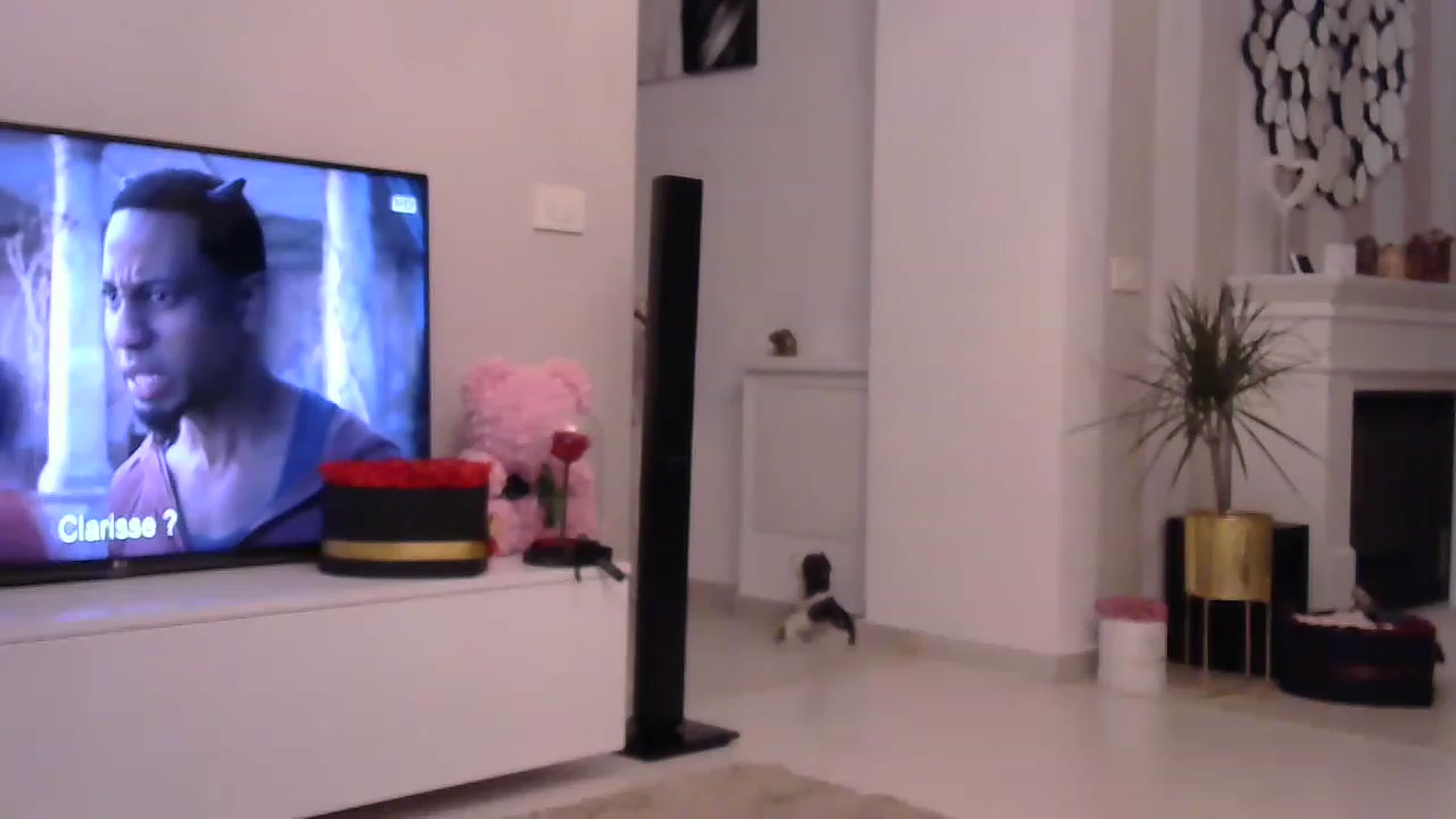 Gallery image thumbnail from Missy_alena's myfreecams stream on, 05/21/2023, 01:15 image 2 of 20