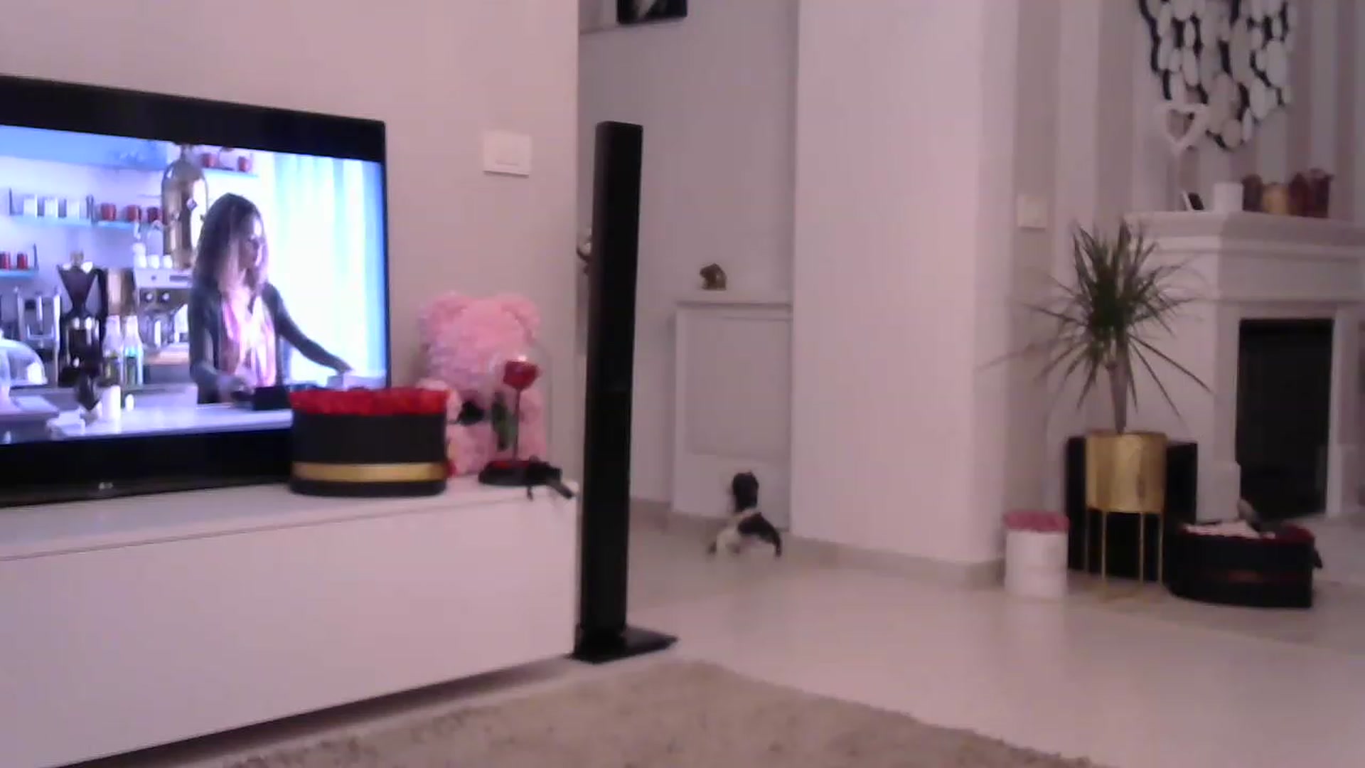 Gallery image thumbnail from Missy_alena's myfreecams stream on, 05/26/2023, 24:39 image 6 of 20