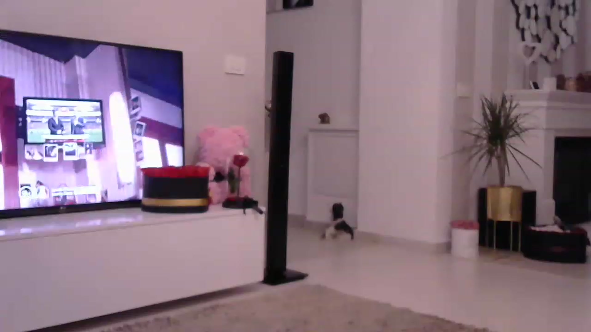 Gallery image thumbnail from Missy_alena's myfreecams stream on, 05/26/2023, 24:39 image 13 of 20