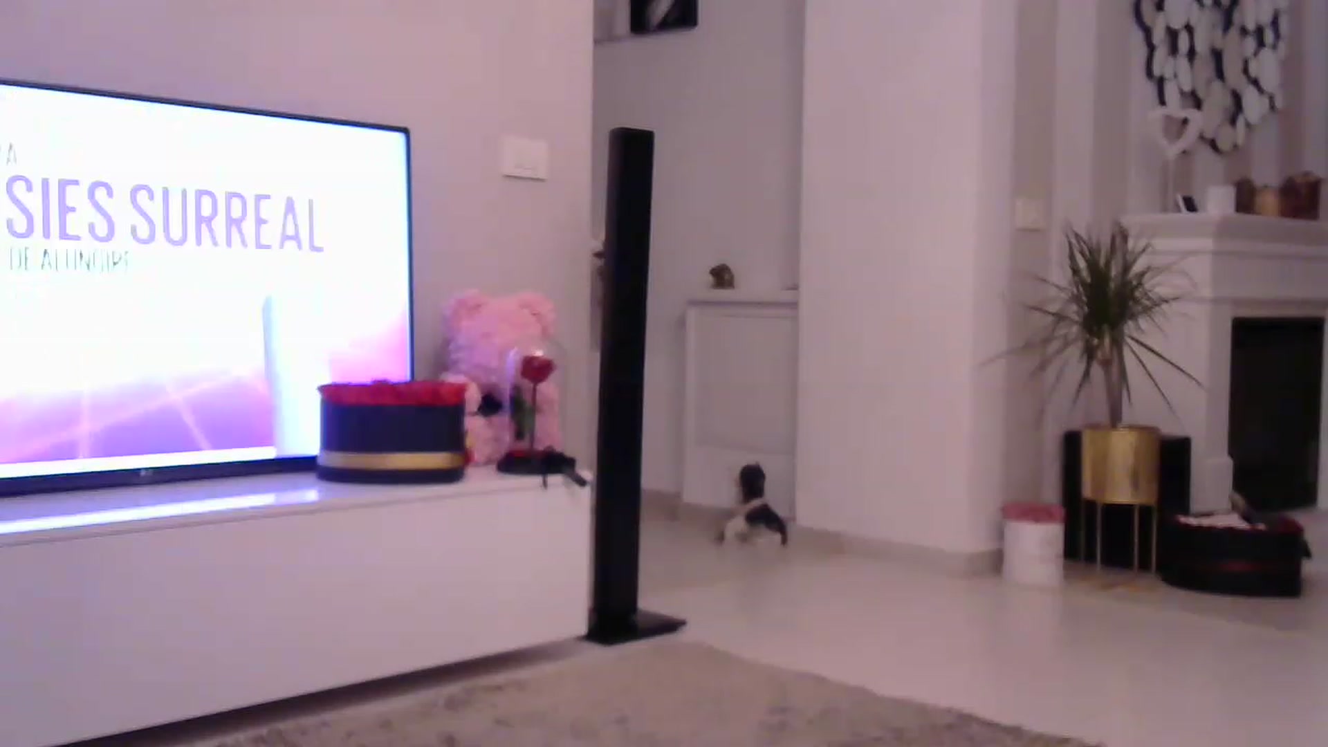 Gallery image thumbnail from Missy_alena's myfreecams stream on, 05/30/2023, 21:36 image 19 of 20