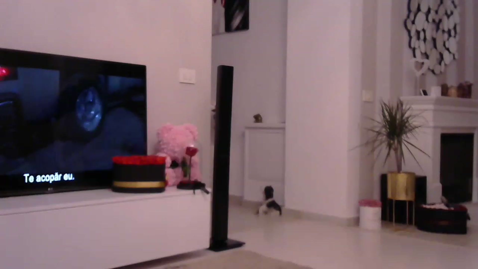 Gallery image thumbnail from Missy_alena's myfreecams stream on, 05/30/2023, 22:25 image 9 of 20