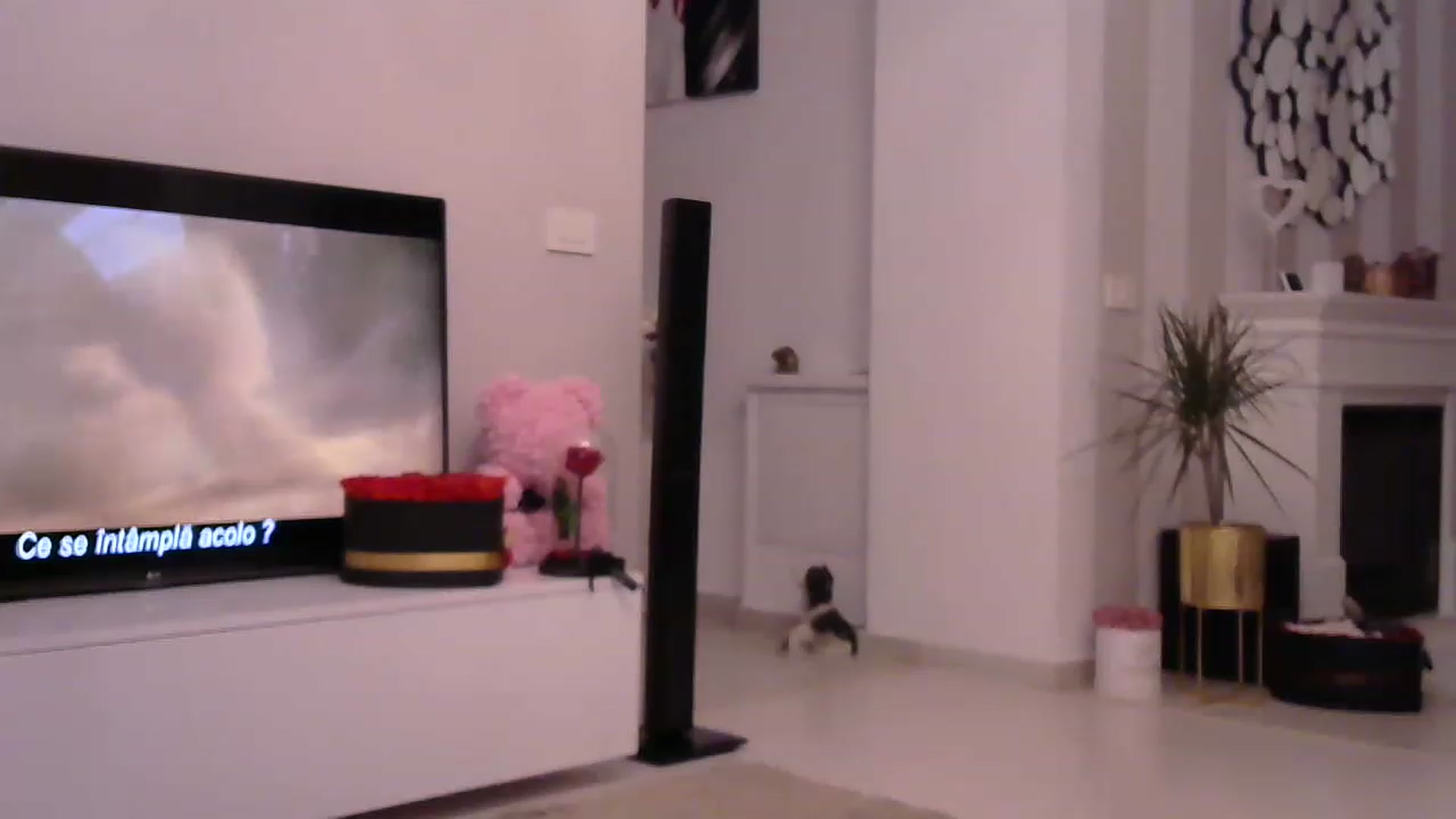 Gallery image thumbnail from Missy_alena's myfreecams stream on, 05/30/2023, 22:25 image 7 of 20