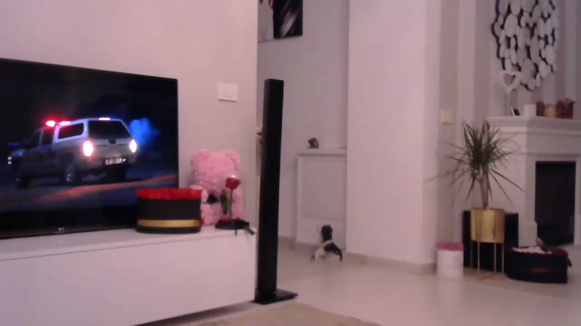 Gallery image thumbnail from Missy_alena's myfreecams stream on, 05/30/2023, 22:25 image 6 of 20
