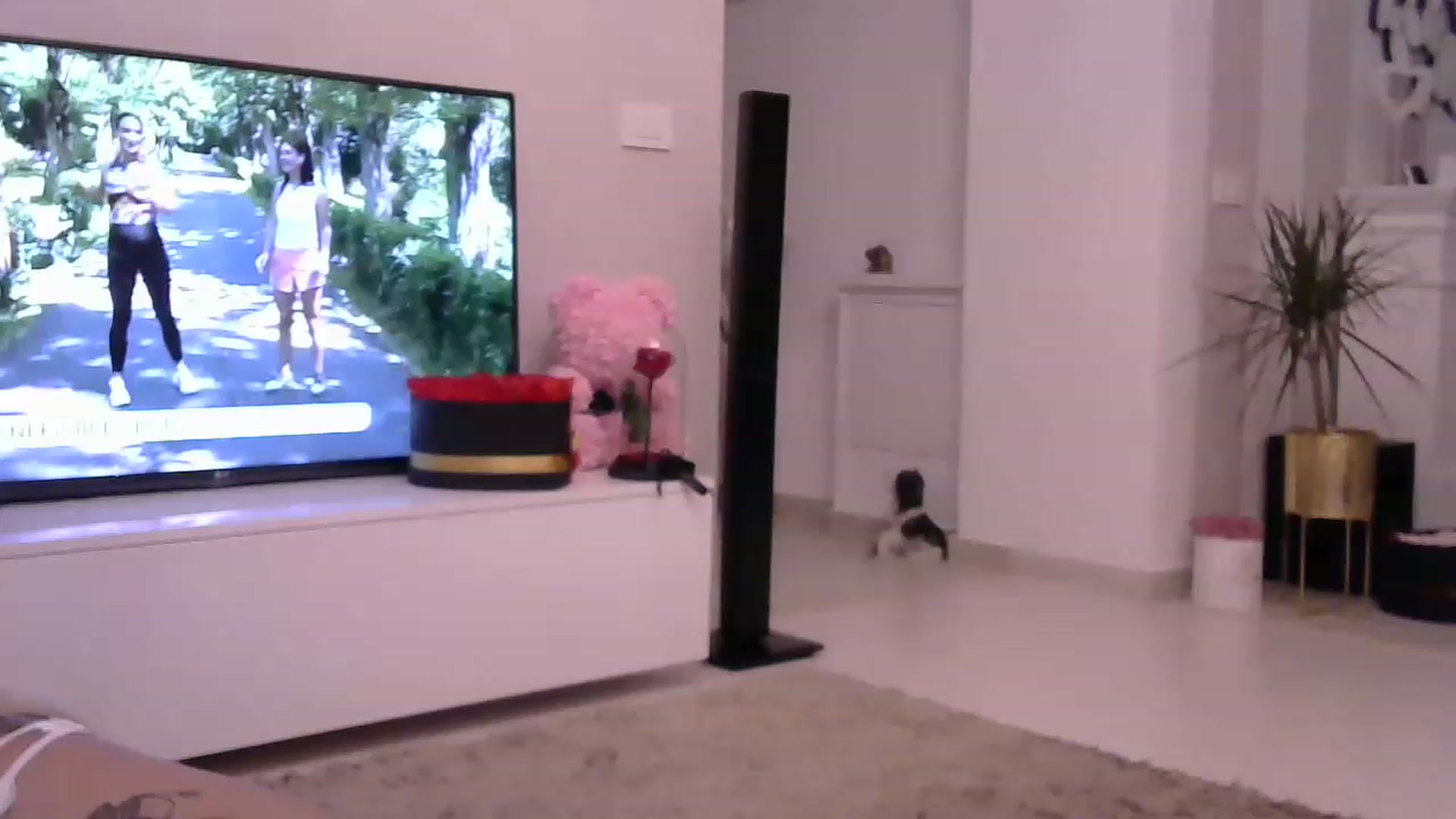 Gallery image thumbnail from Missy_alena's myfreecams stream on, 06/09/2023, 01:31 image 12 of 20