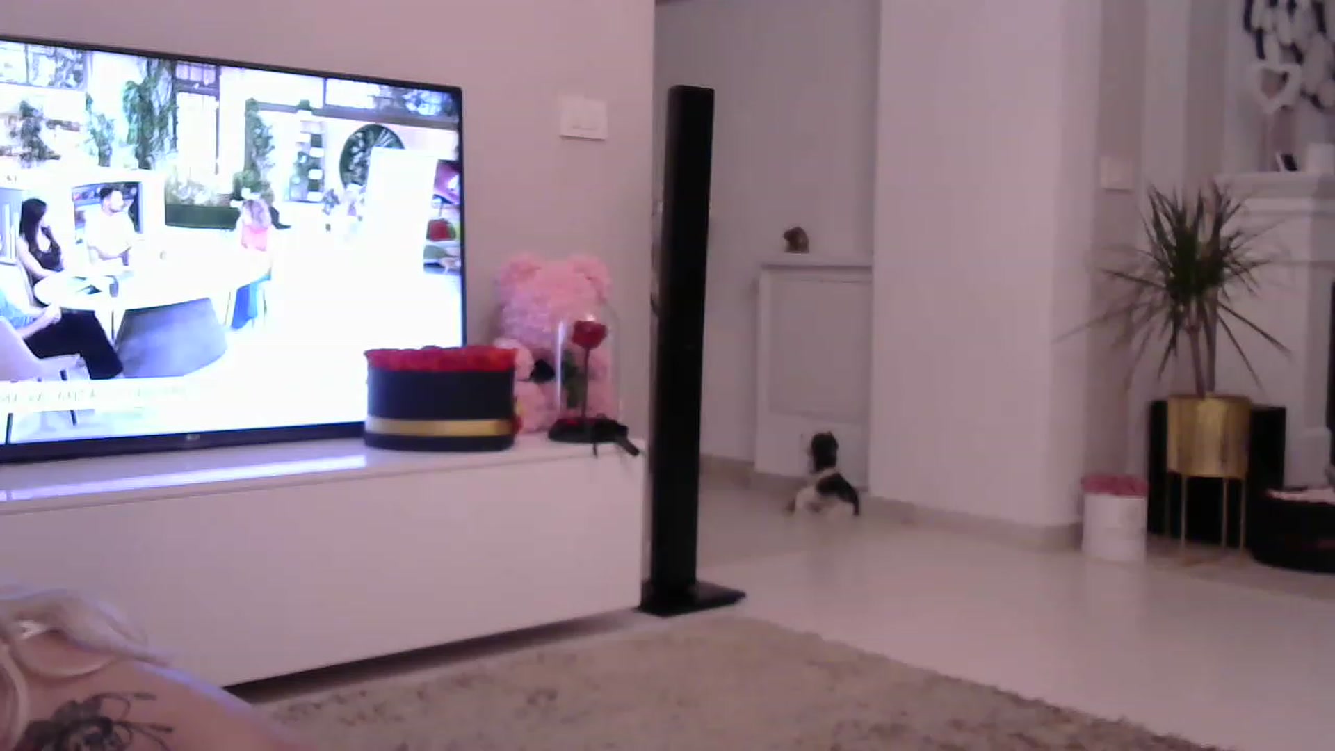 Gallery image thumbnail from Missy_alena's myfreecams stream on, 06/09/2023, 01:31 image 18 of 20