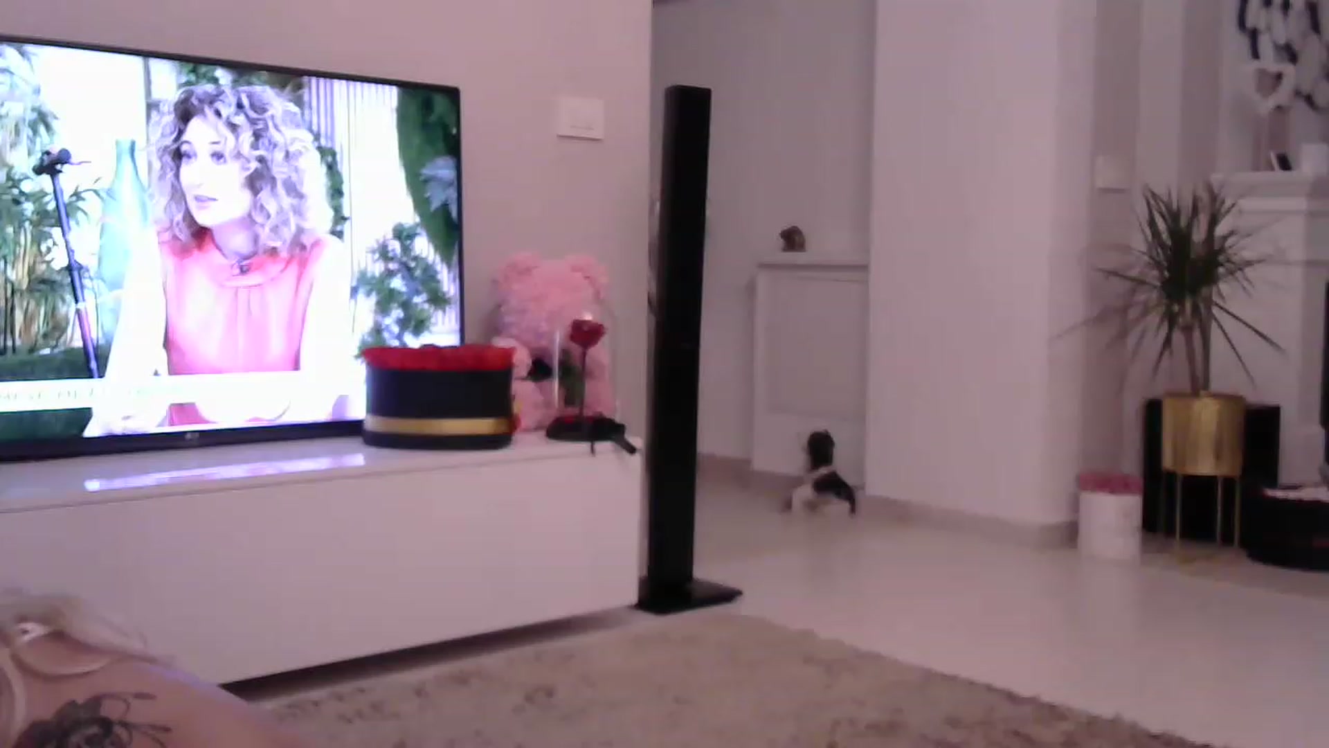 Gallery image thumbnail from Missy_alena's myfreecams stream on, 06/09/2023, 01:31 image 19 of 20