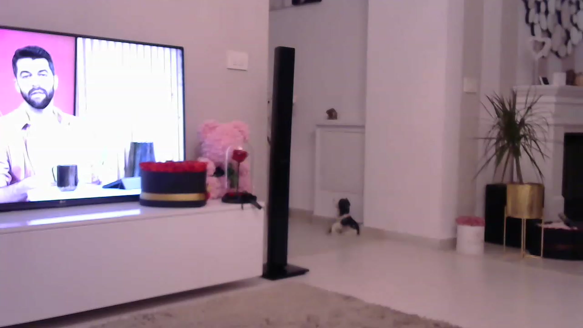 Gallery image thumbnail from Missy_alena's myfreecams stream on, 06/20/2023, 01:22 image 6 of 20