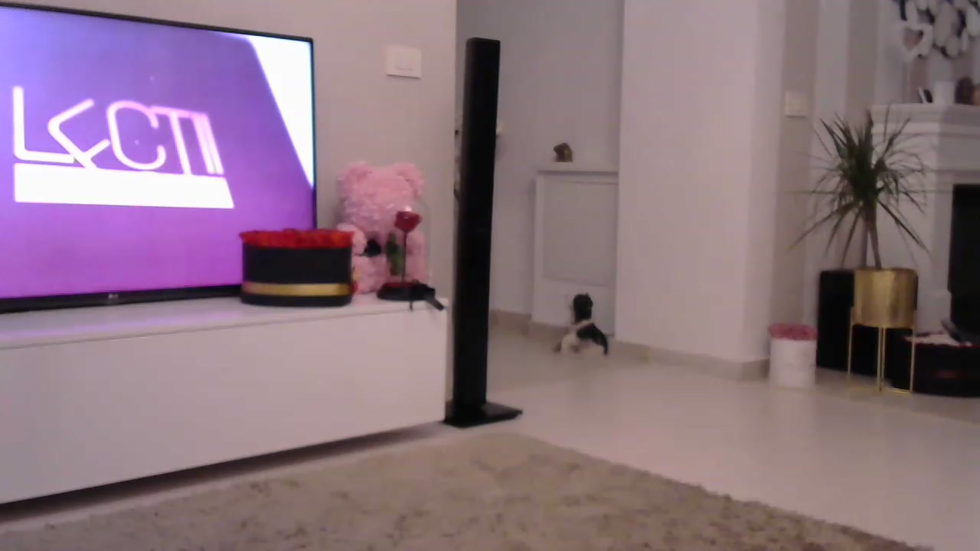 Gallery image thumbnail from Missy_alena's myfreecams stream on, 06/20/2023, 23:26 image 9 of 20