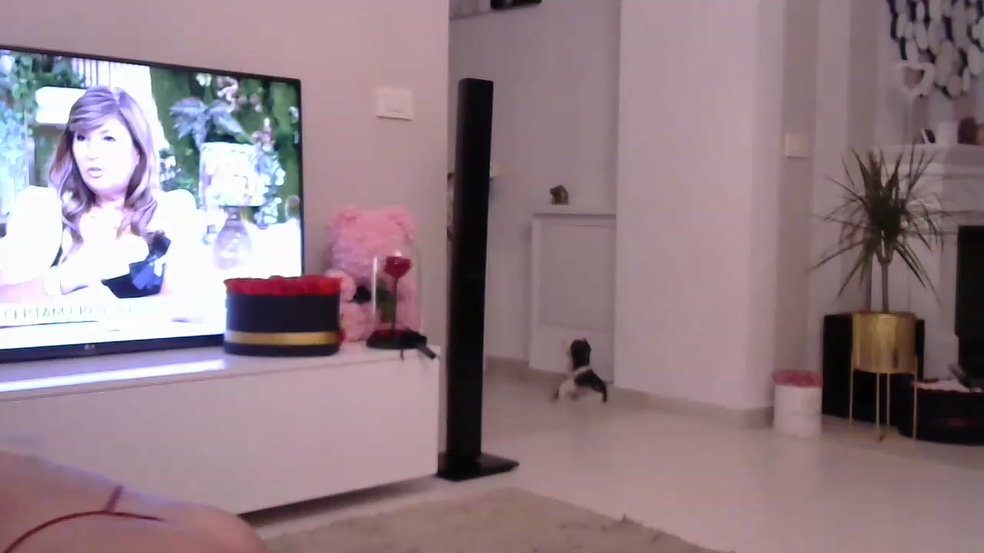 Gallery image thumbnail from Missy_alena's myfreecams stream on, 06/23/2023, 01:29 image 13 of 20