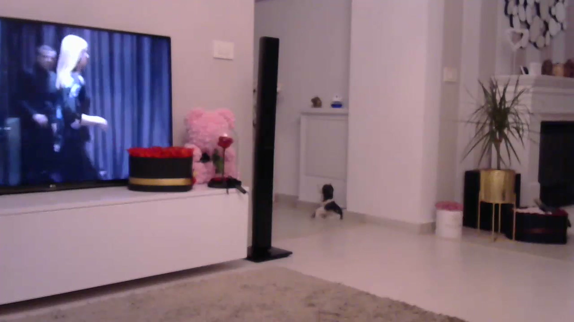 Gallery image thumbnail from Missy_alena's myfreecams stream on, 06/30/2023, 20:00 image 4 of 20