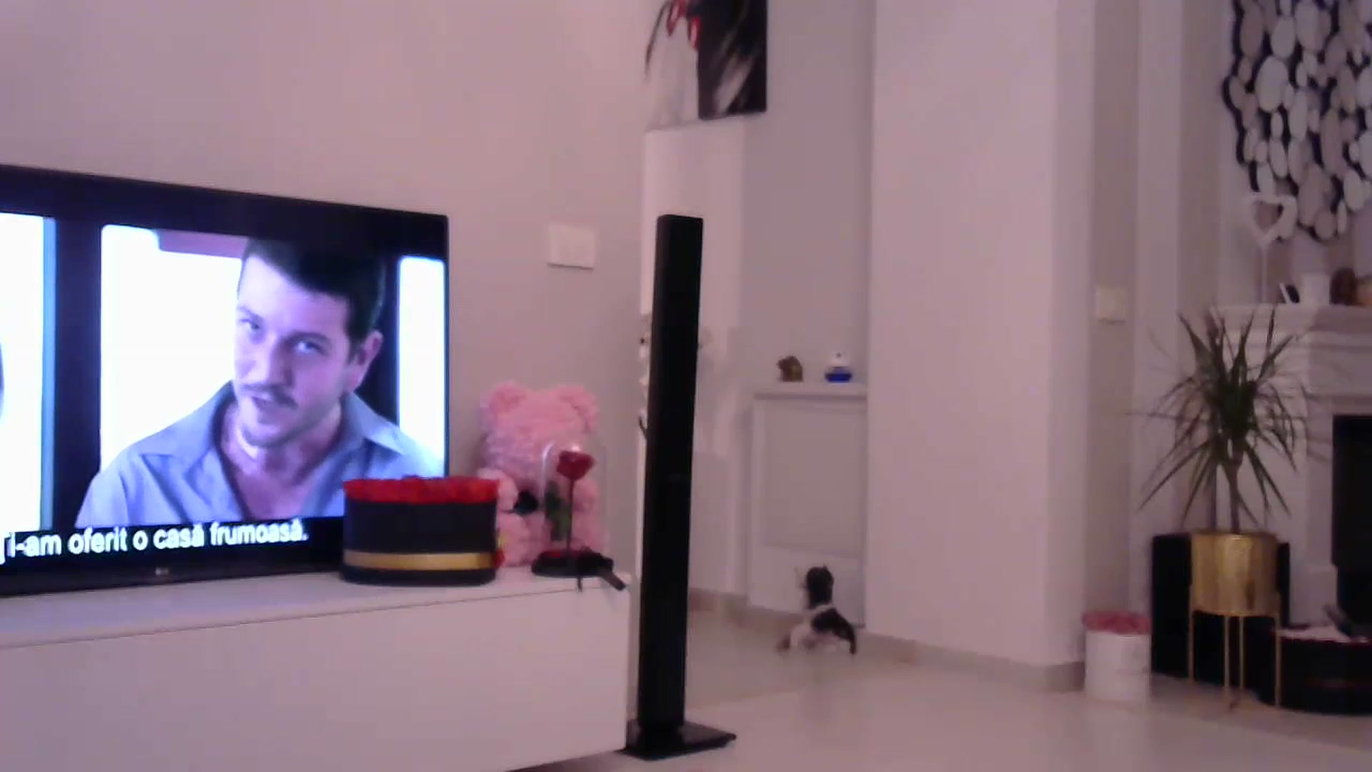 Gallery image thumbnail from Missy_alena's myfreecams stream on, 07/01/2023, 24:02 image 5 of 20