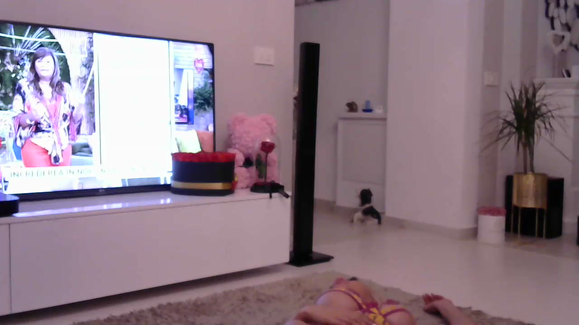 Gallery image thumbnail from Missy_alena's myfreecams stream on, 07/07/2023, 01:38 image 14 of 20