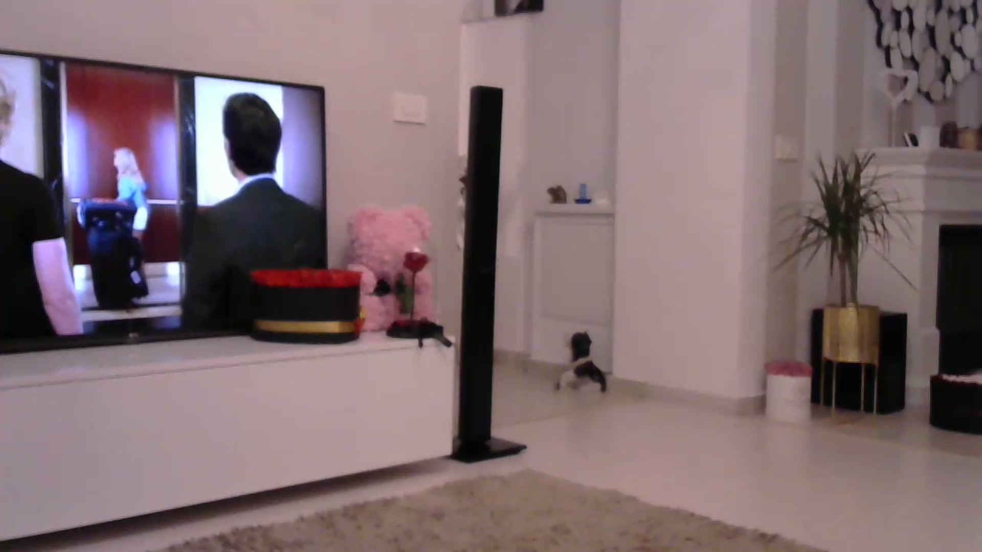 Gallery image thumbnail from Missy_alena's myfreecams stream on, 07/08/2023, 20:43 image 18 of 20