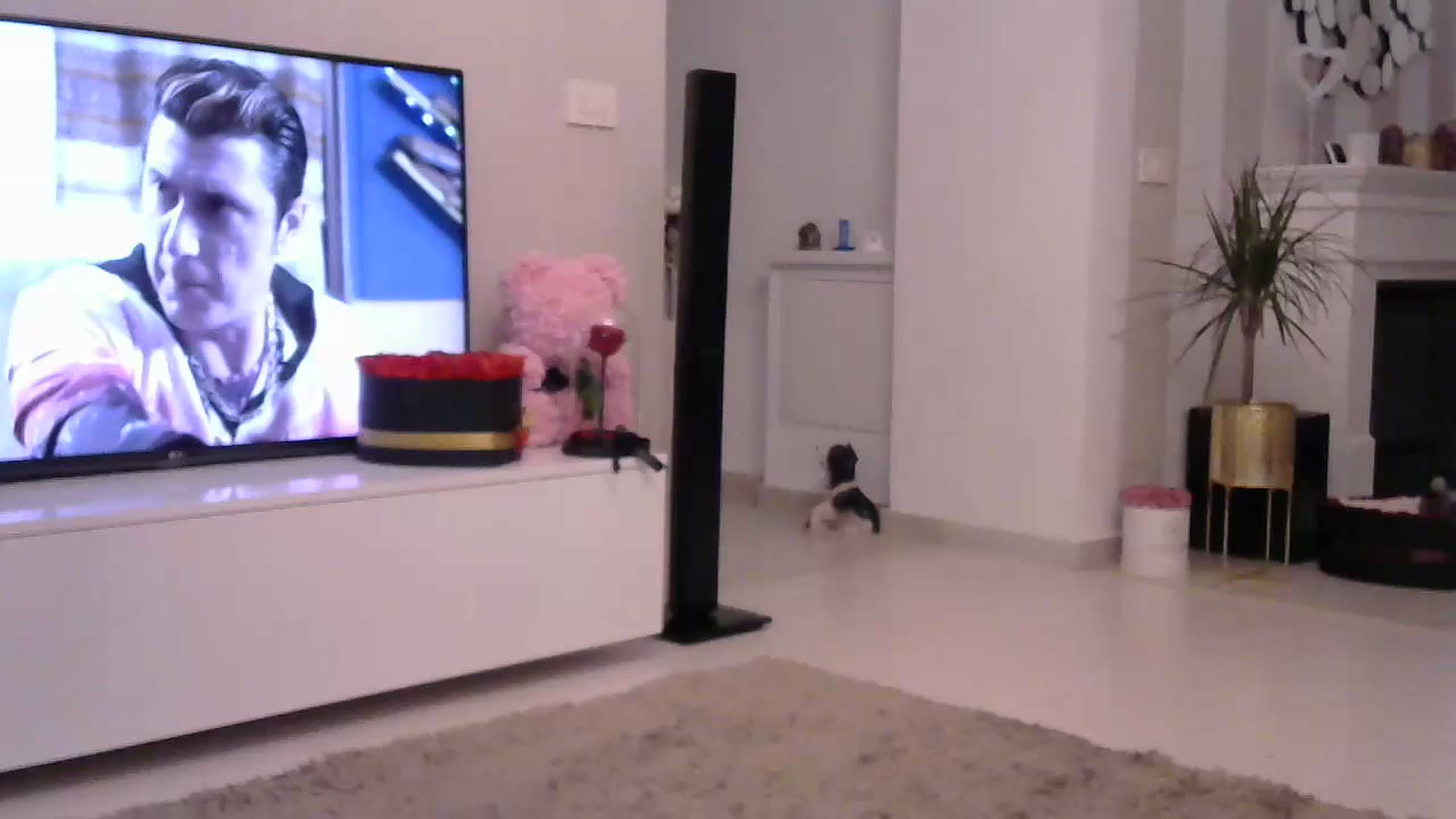 Gallery image thumbnail from Missy_alena's myfreecams stream on, 07/17/2023, 24:14 image 20 of 20