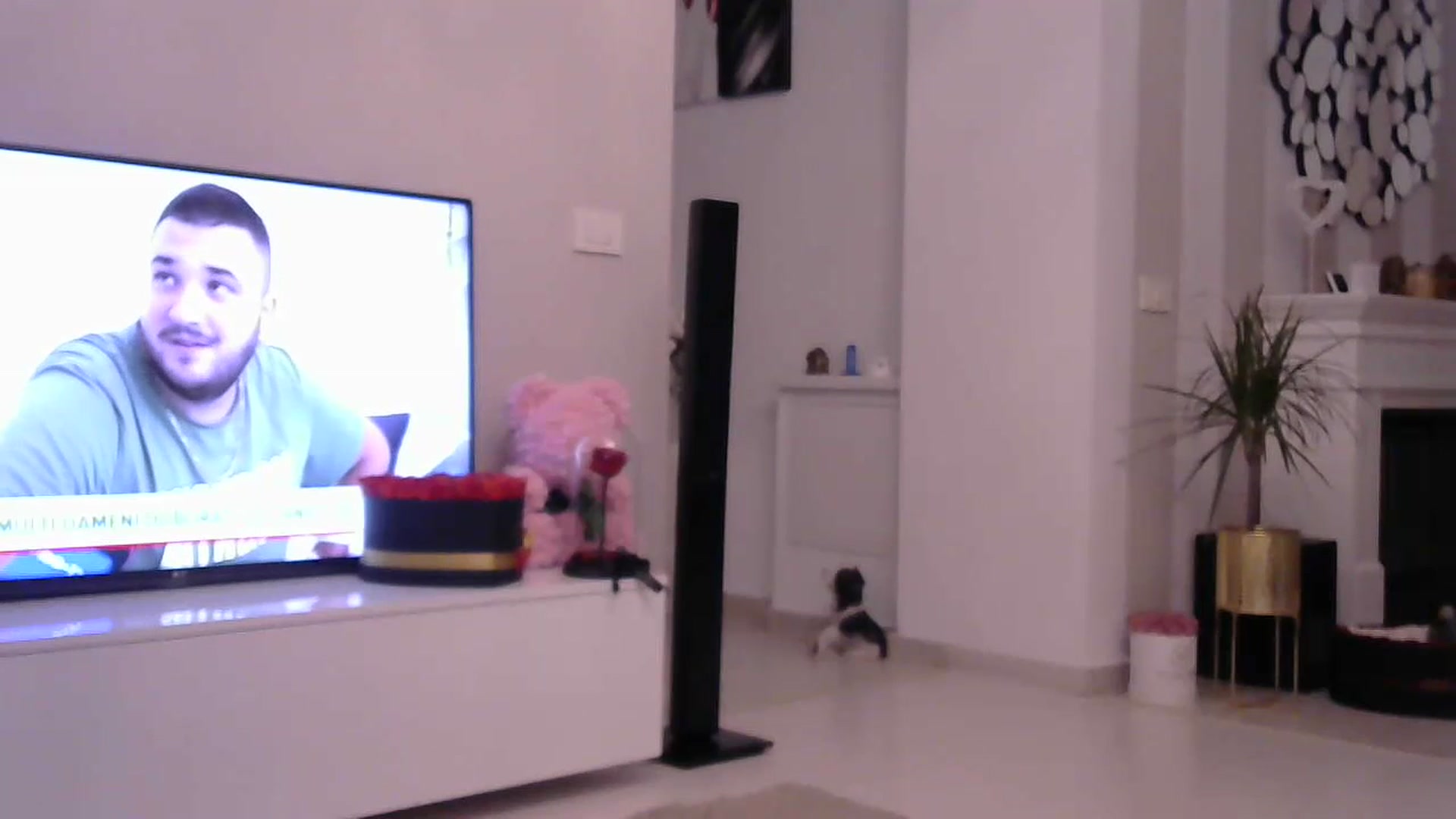 Gallery image thumbnail from Missy_alena's myfreecams stream on, 07/19/2023, 21:13 image 2 of 20