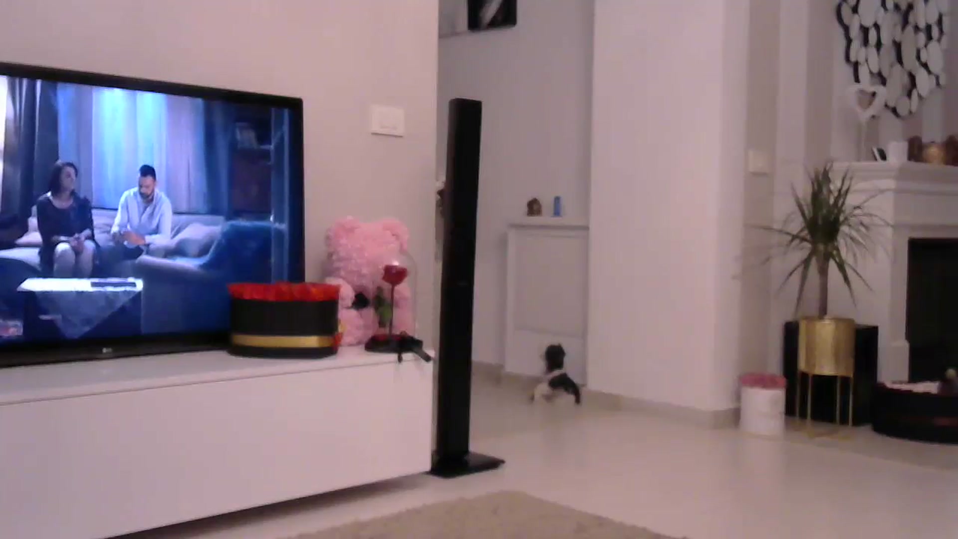 Gallery image thumbnail from Missy_alena's myfreecams stream on, 07/24/2023, 21:48 image 16 of 20