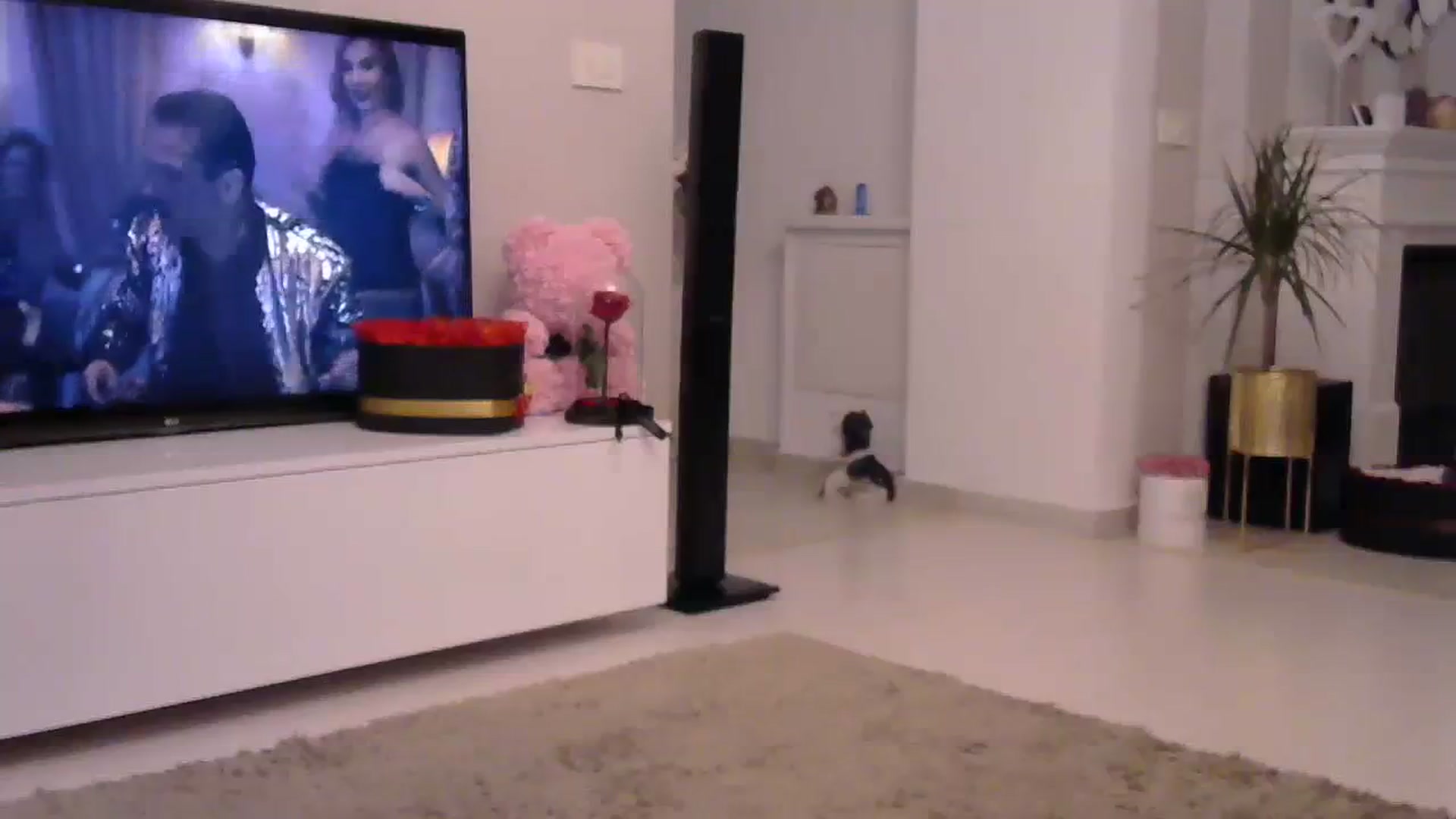 Gallery image thumbnail from Missy_alena's myfreecams stream on, 07/24/2023, 22:53 image 17 of 20