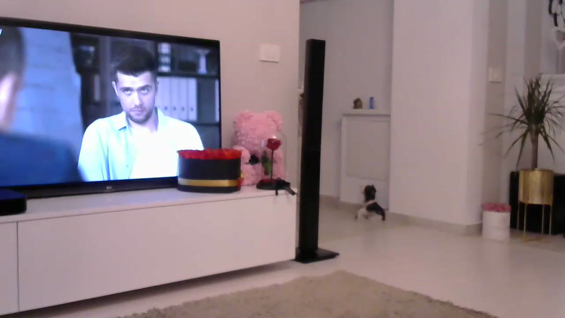 Gallery image thumbnail from Missy_alena's myfreecams stream on, 07/25/2023, 22:13 image 15 of 20
