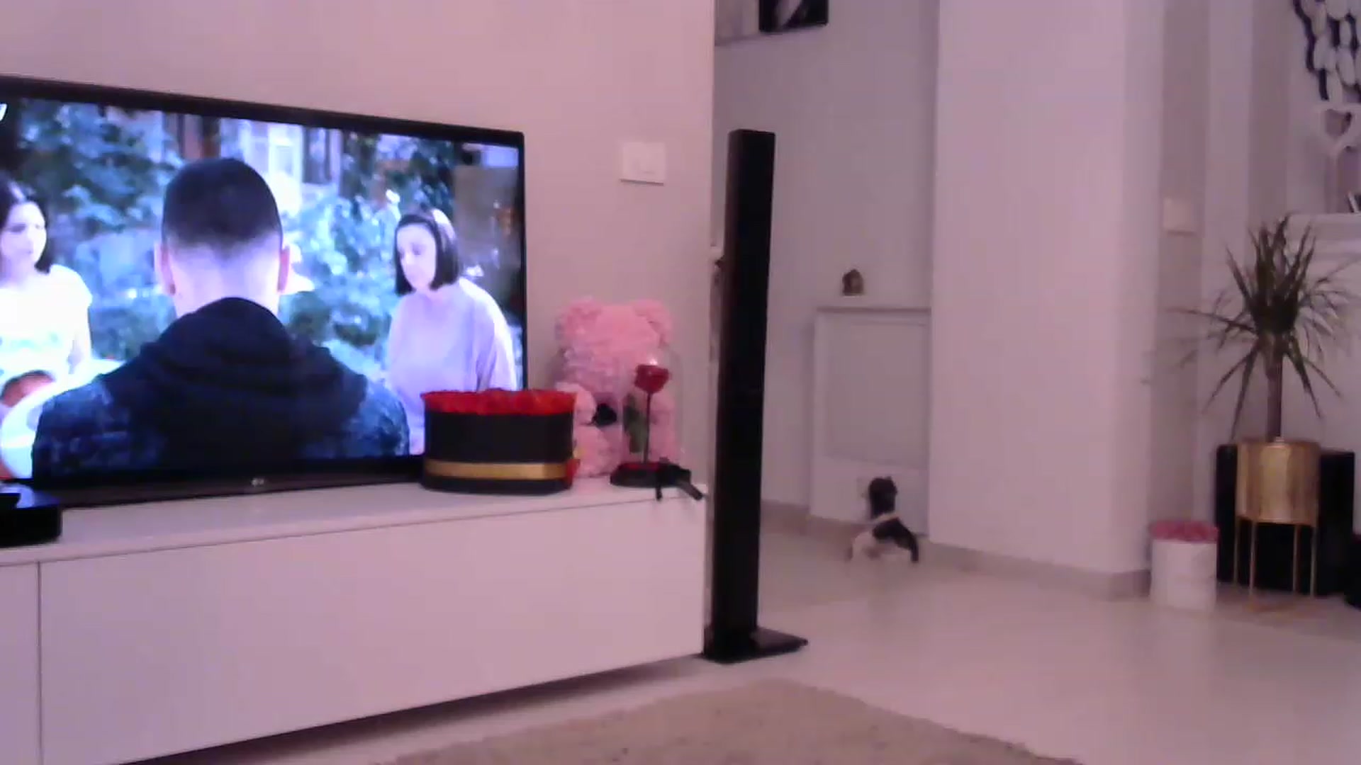 Gallery image thumbnail from Missy_alena's myfreecams stream on, 07/27/2023, 23:30 image 18 of 20