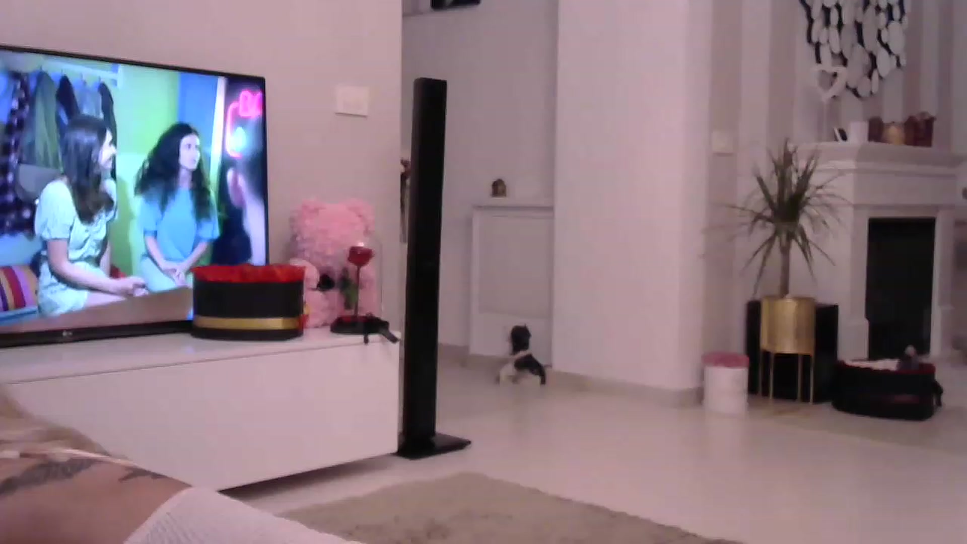 Gallery image thumbnail from Missy_alena's myfreecams stream on, 07/31/2023, 22:14 image 5 of 20