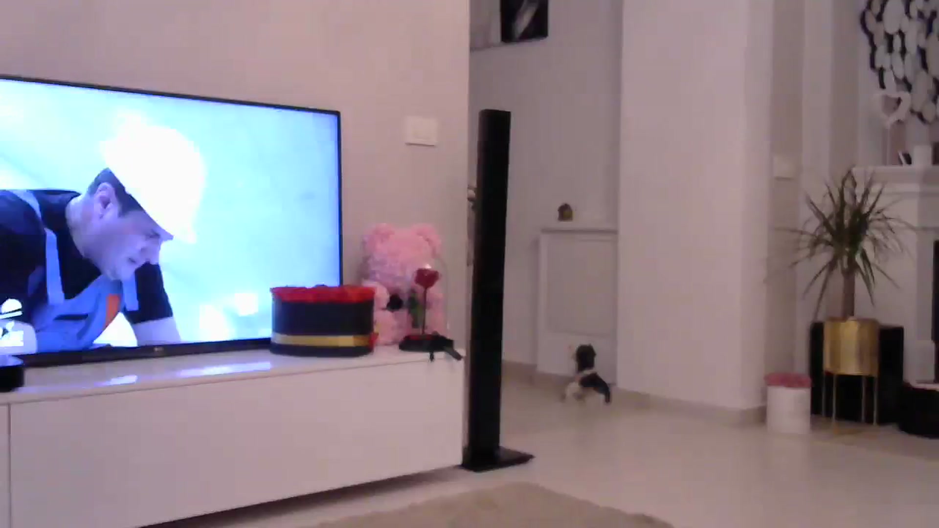 Gallery image thumbnail from Missy_alena's myfreecams stream on, 08/03/2023, 01:17 image 2 of 20