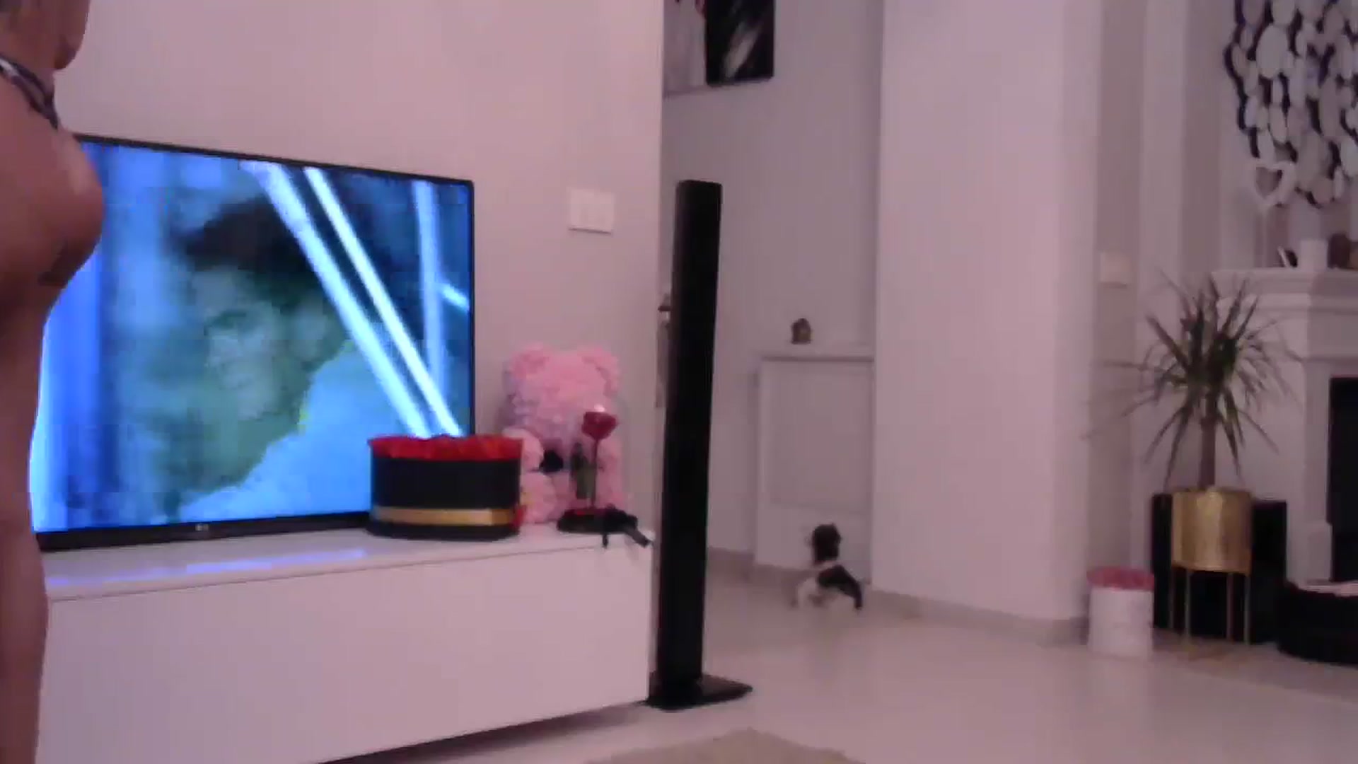 Gallery image thumbnail from Missy_alena's myfreecams stream on, 08/05/2023, 22:00 image 2 of 20