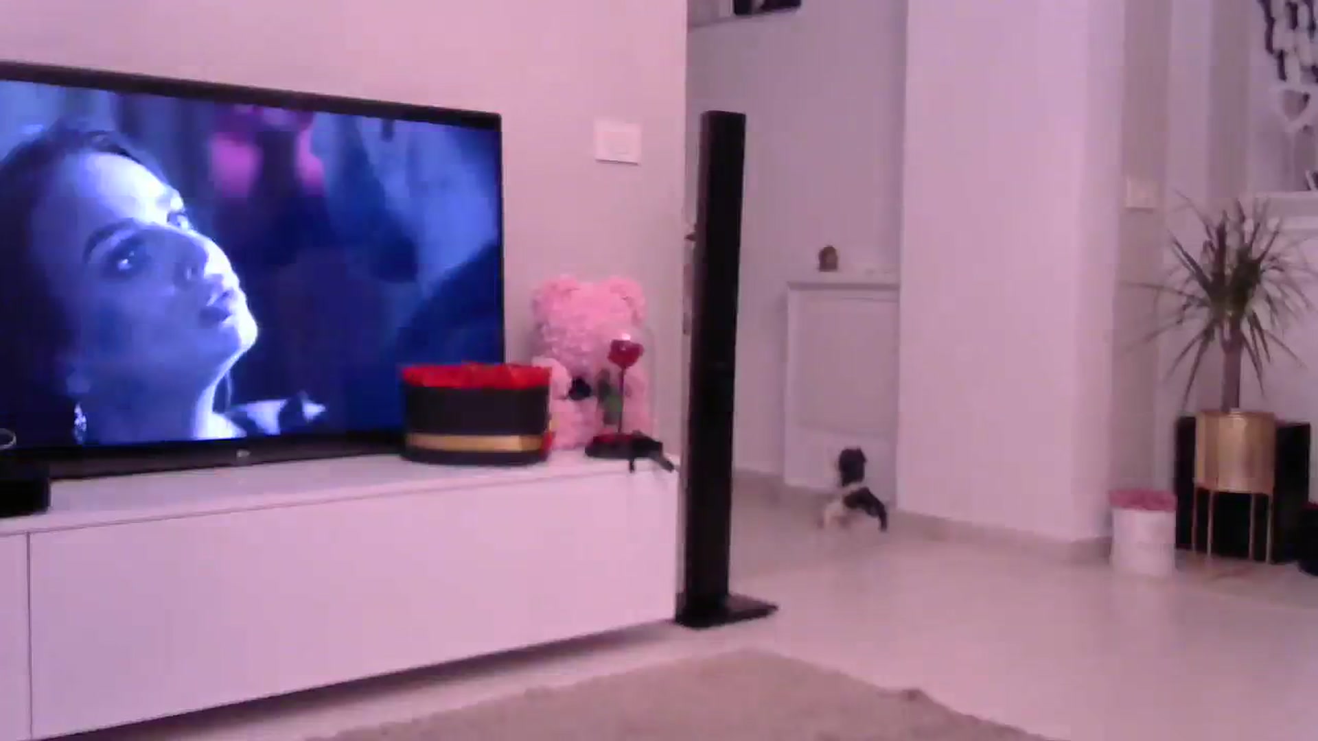 Gallery image thumbnail from Missy_alena's myfreecams stream on, 08/10/2023, 02:02 image 7 of 20