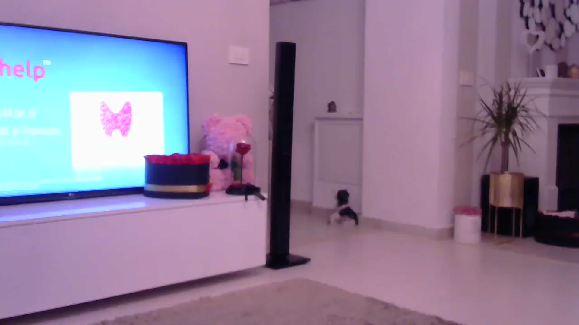 Gallery image thumbnail from Missy_alena's myfreecams stream on, 08/10/2023, 02:02 image 4 of 20