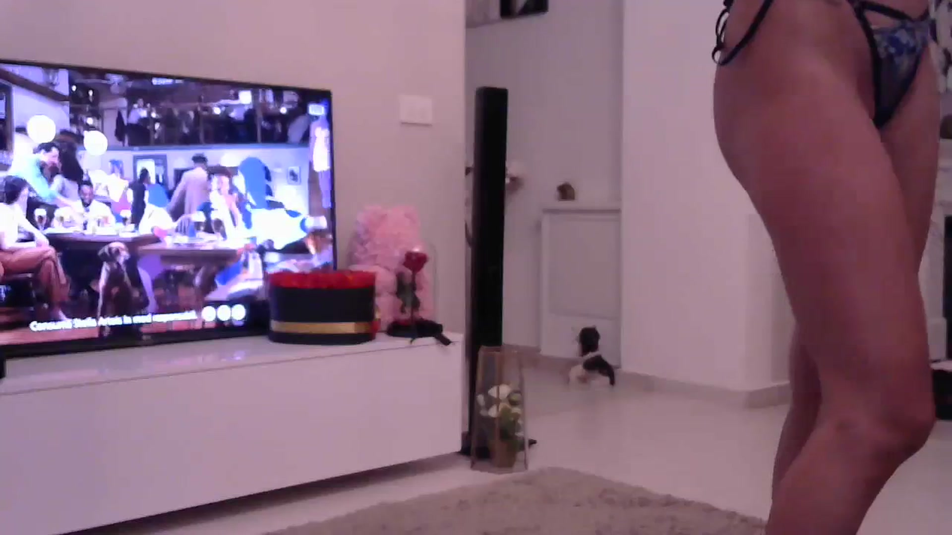 Gallery image thumbnail from Missy_alena's myfreecams stream on, 08/29/2023, 23:23 image 3 of 20