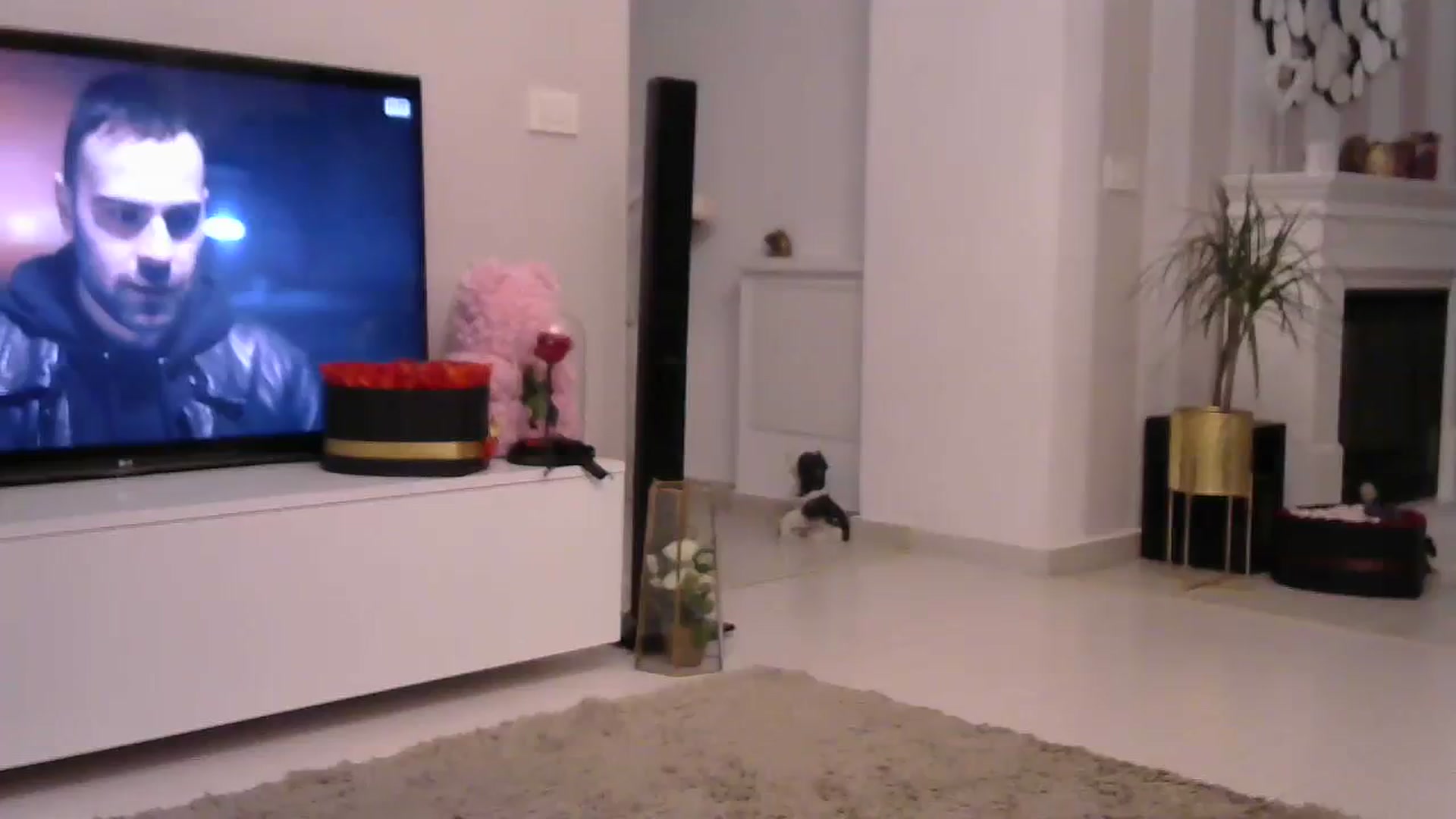 Gallery image thumbnail from Missy_alena's myfreecams stream on, 09/04/2023, 22:46 image 5 of 20