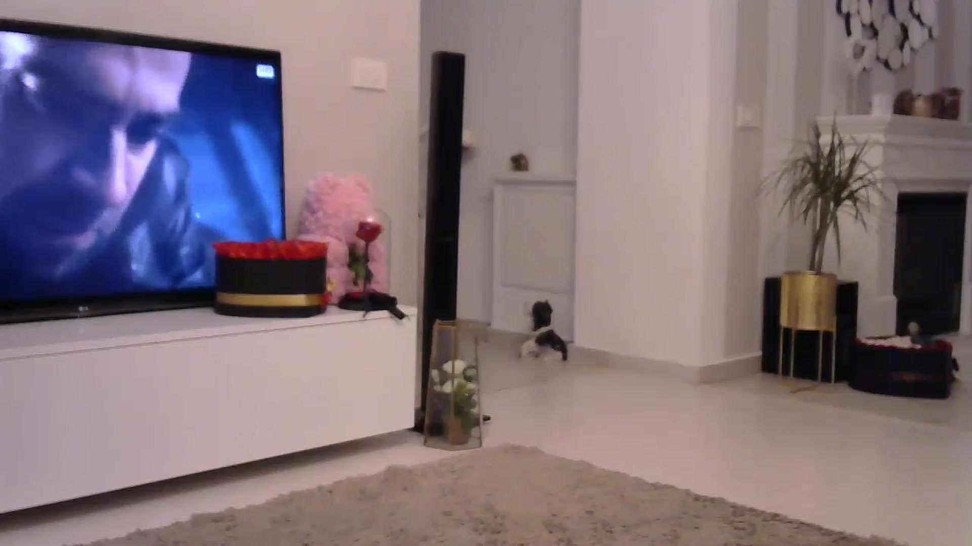 Gallery image thumbnail from Missy_alena's myfreecams stream on, 09/04/2023, 22:46 image 6 of 20