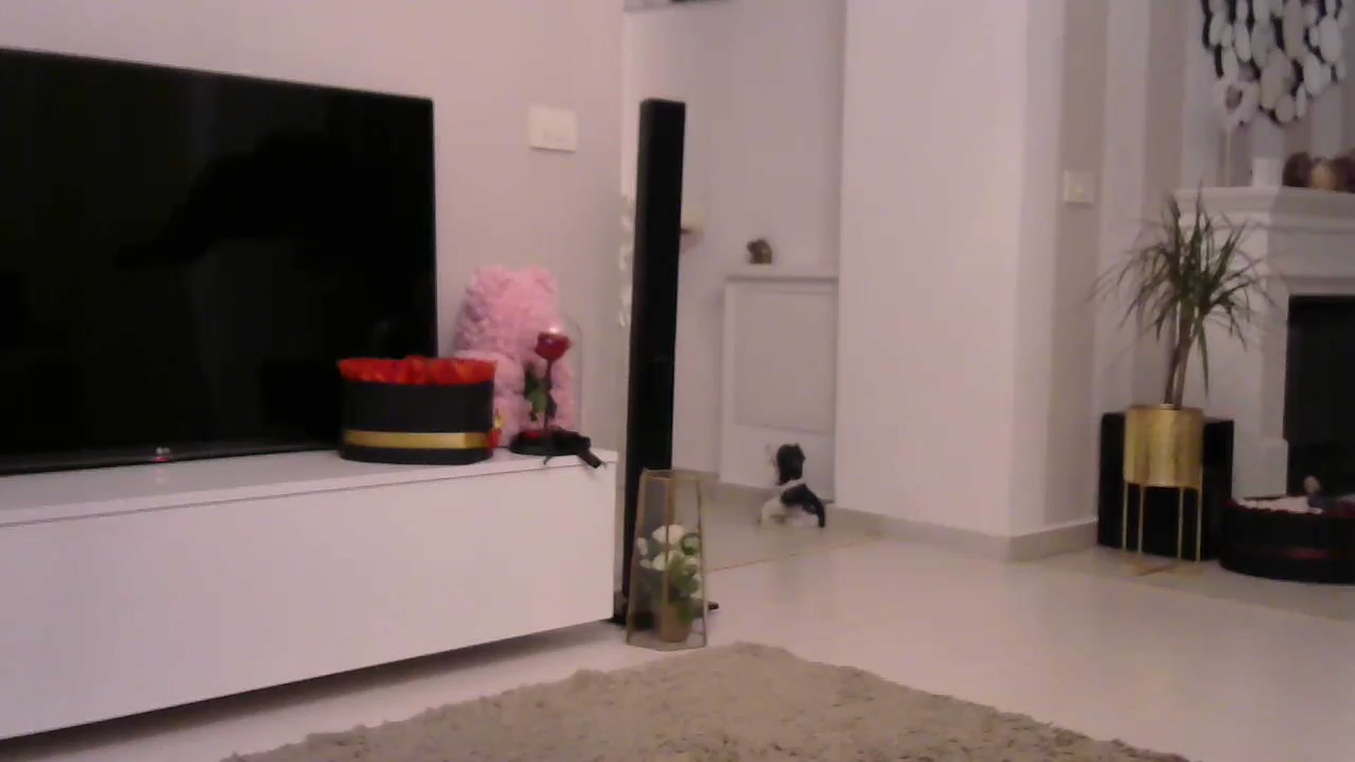 Gallery image thumbnail from Missy_alena's myfreecams stream on, 09/05/2023, 24:56 image 19 of 20
