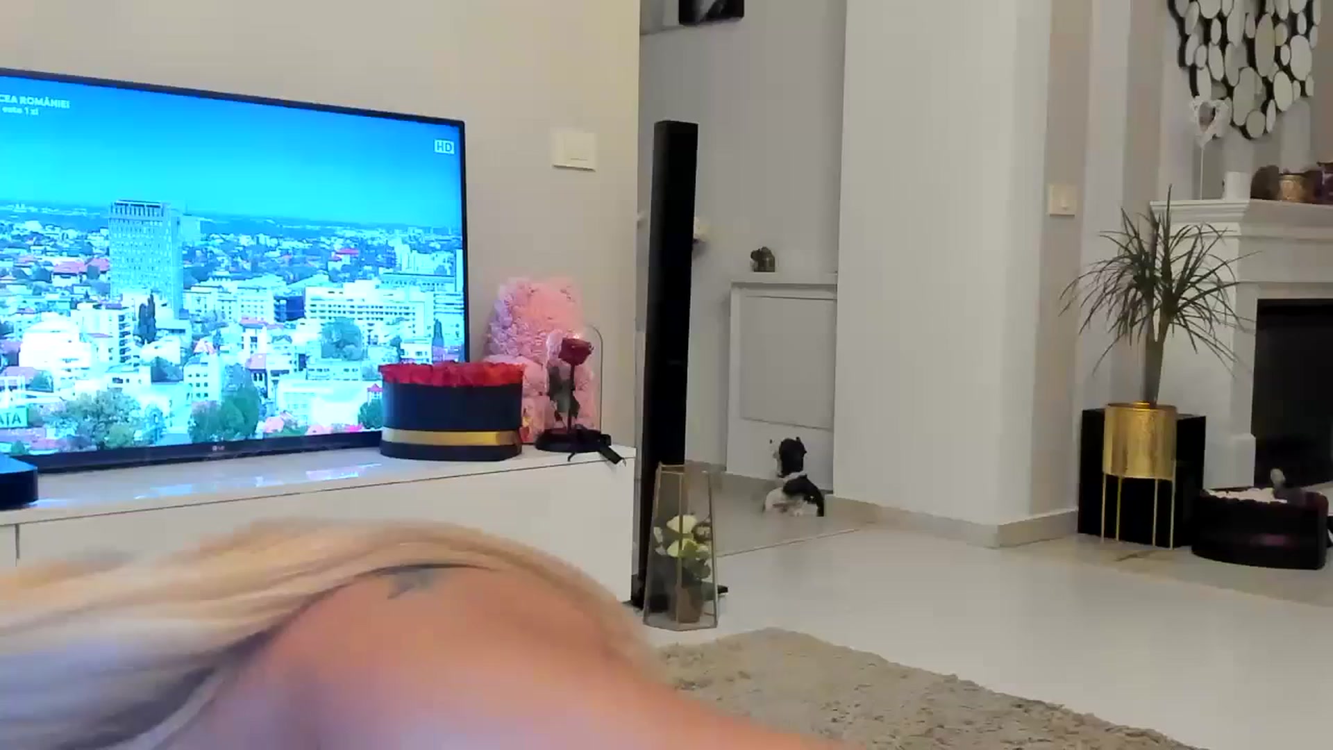 Gallery image thumbnail from Missy_alena's myfreecams stream on, 09/08/2023, 01:07 image 1 of 20