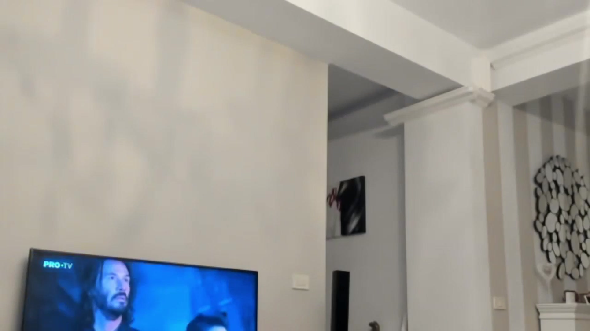 Gallery image thumbnail from Missy_alena's myfreecams stream on, 07/16/2024, 22:04 image 2 of 20